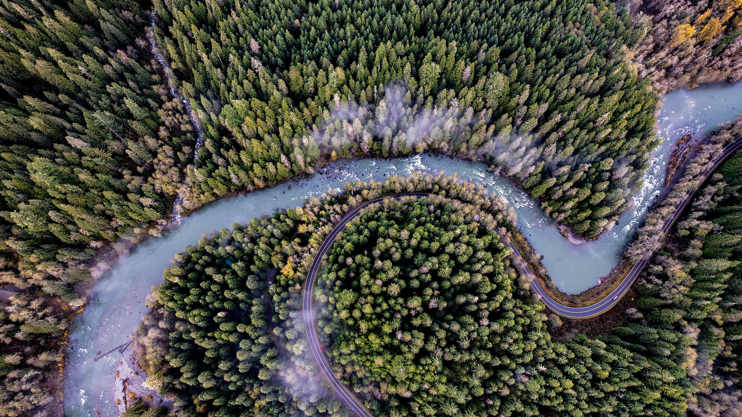 Stillaguamish River,  USA (Fall)