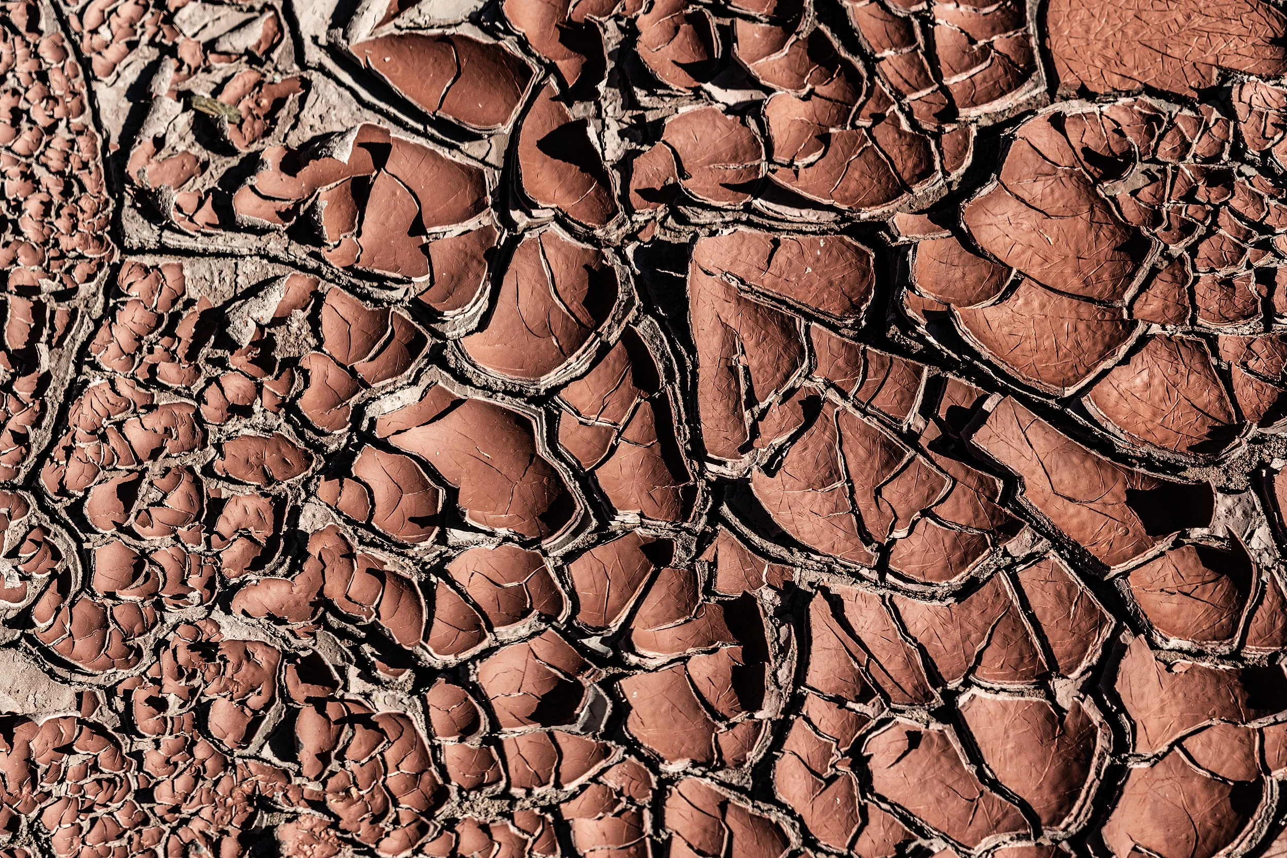 Cathedral Valley, USA