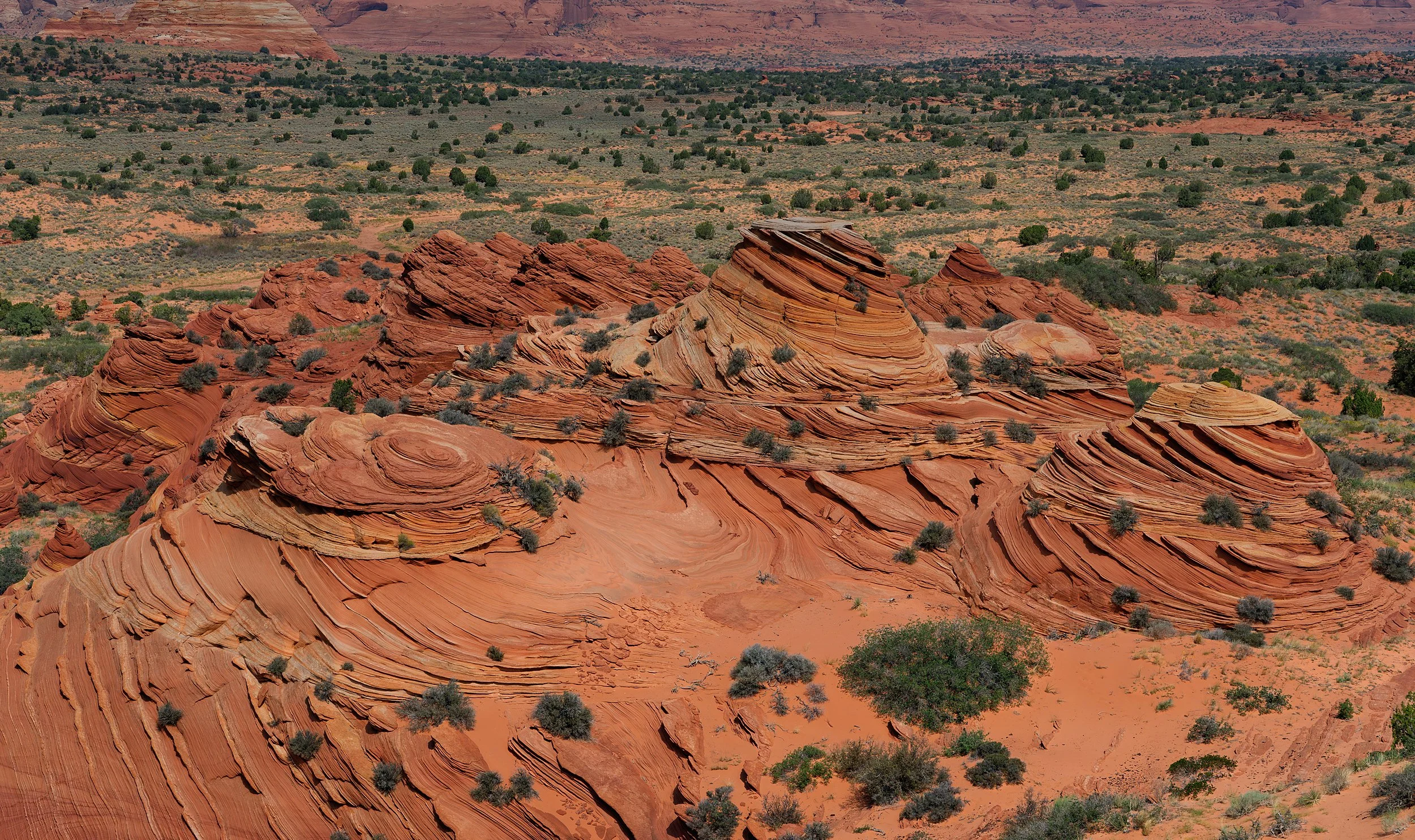 South Coyote Buttes, USA