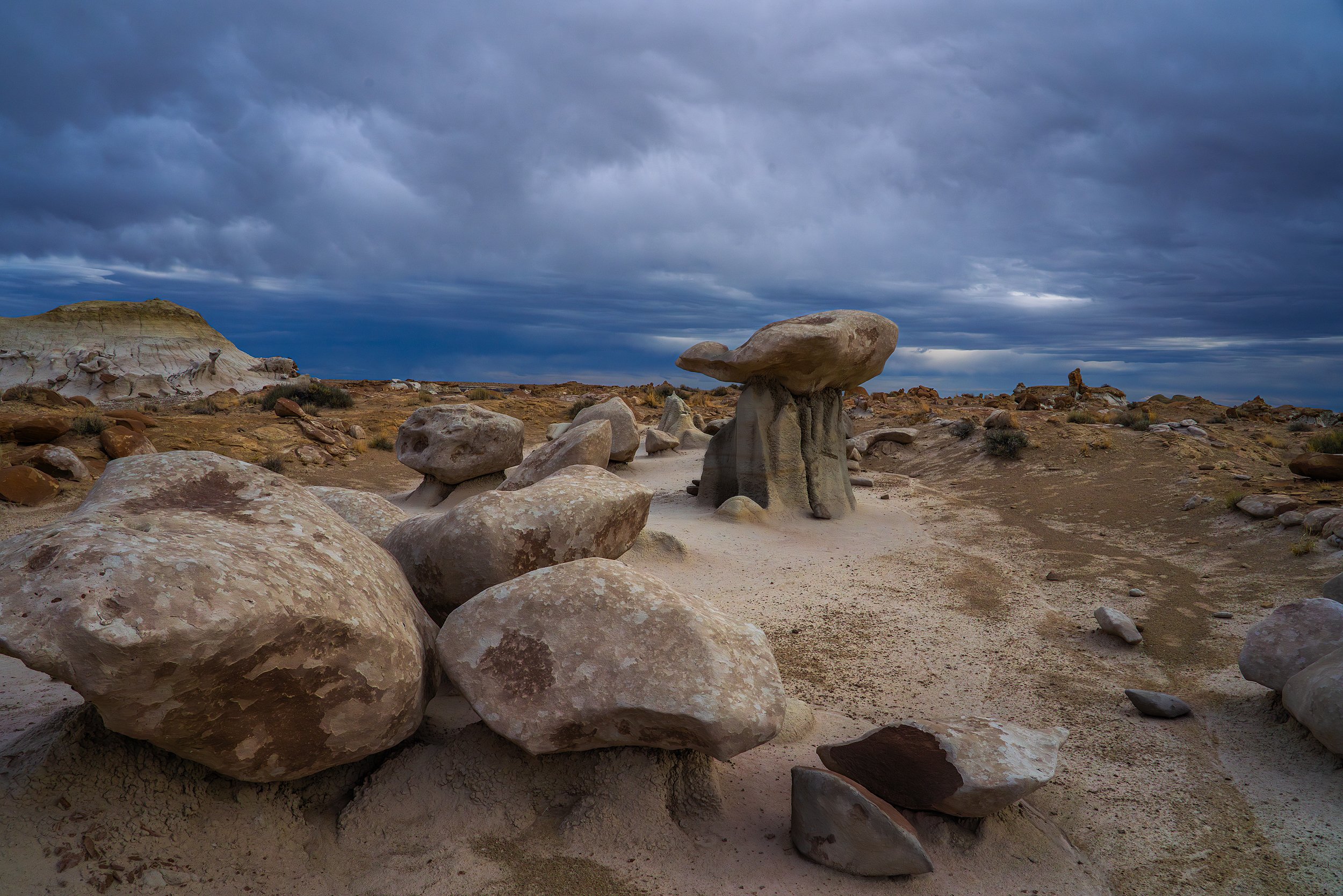 Mushrooms, Bisti / De-Na-Zin Wilderness, USA 2