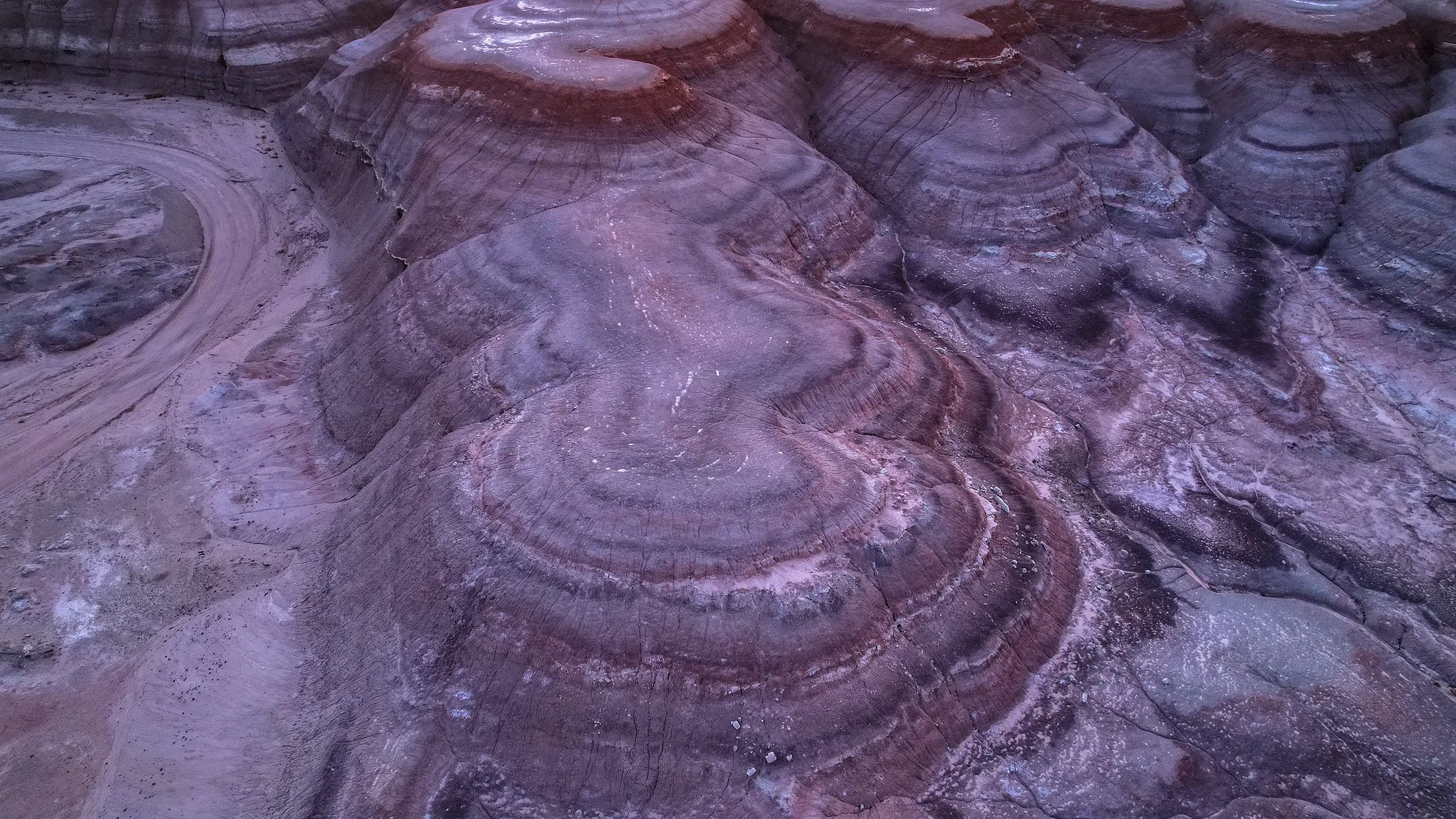 Purple Mountain, USA