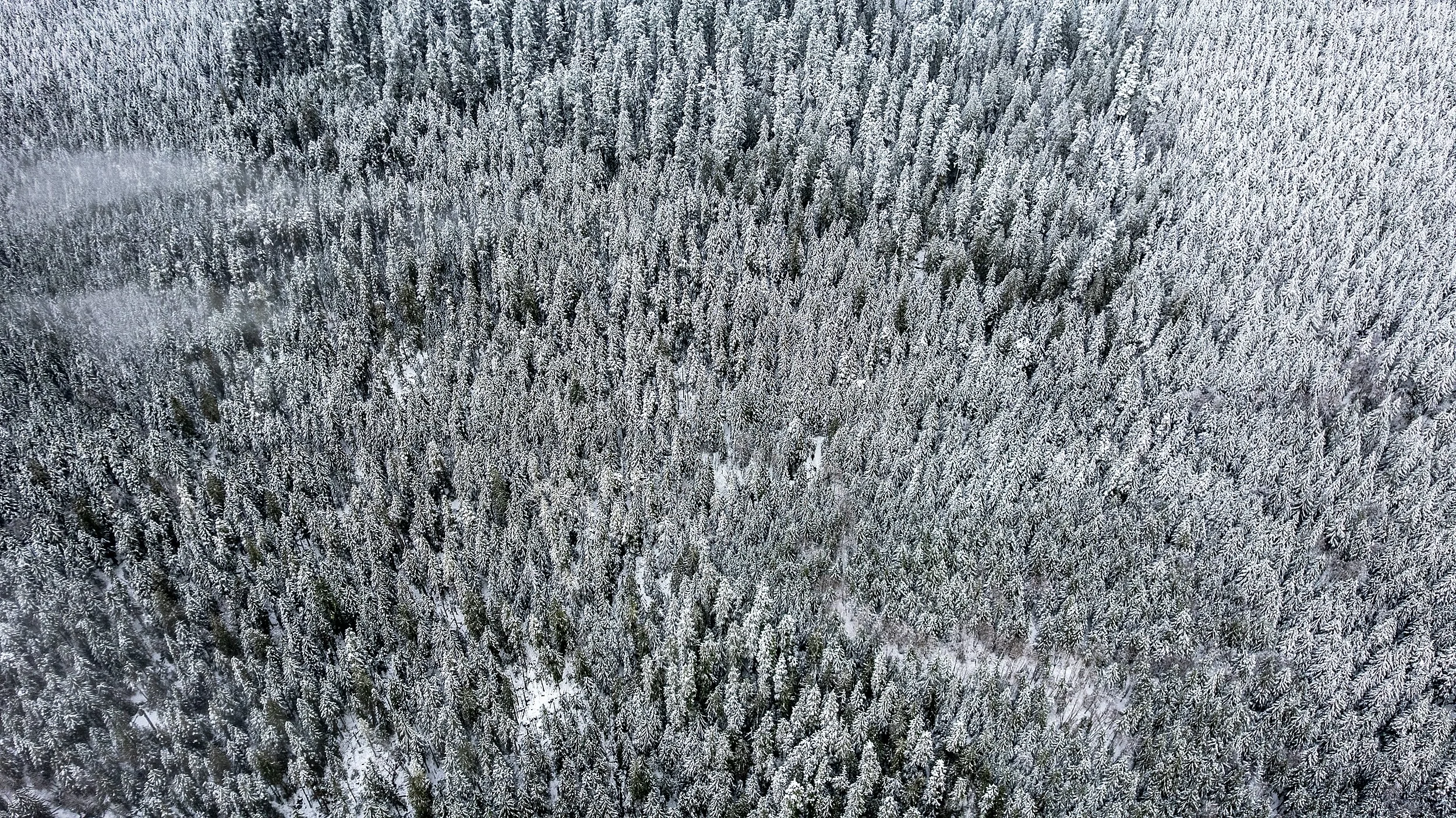 North Cascades Range, USA