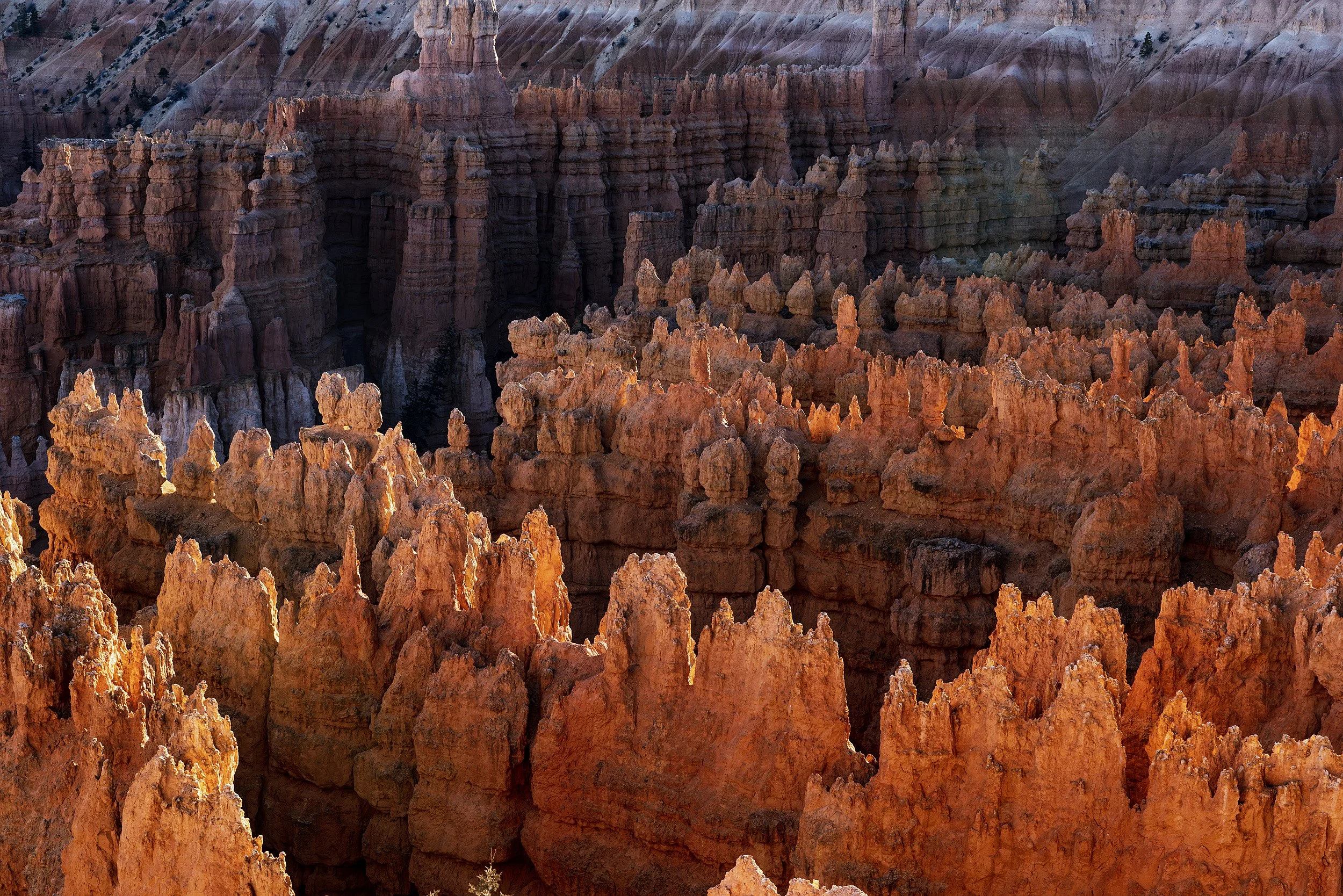 Bryce Canyon, USA