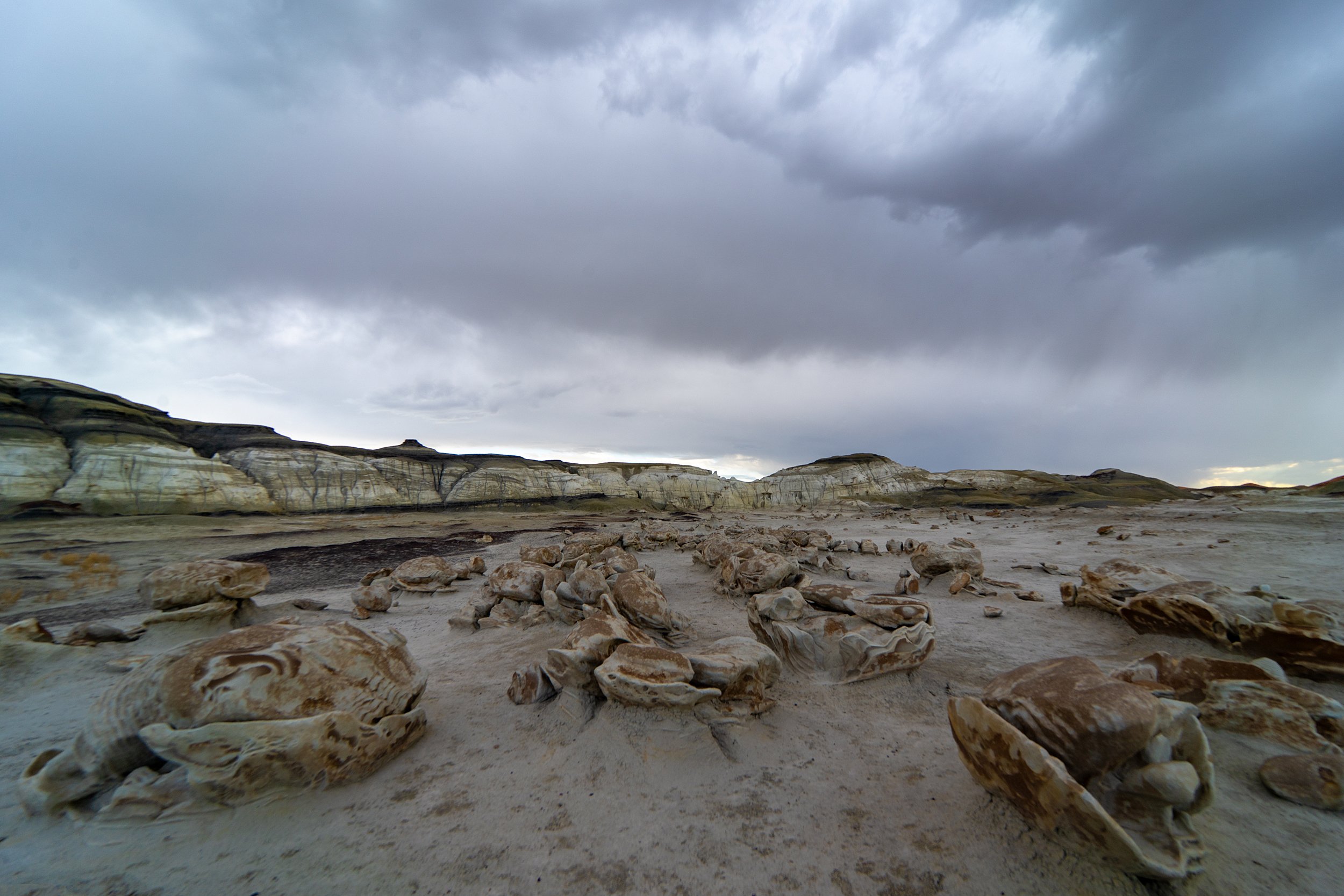 Fried Eggs, Bisti / De-Na-Zin Wilderness, USA