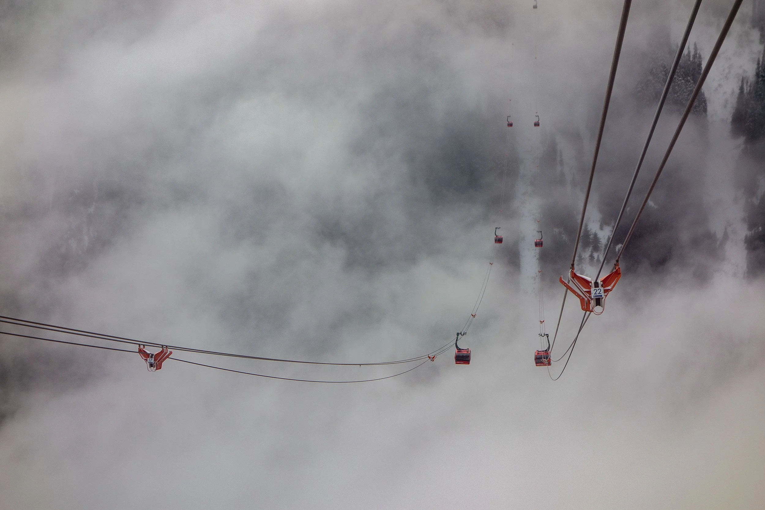 Suspended in Silence