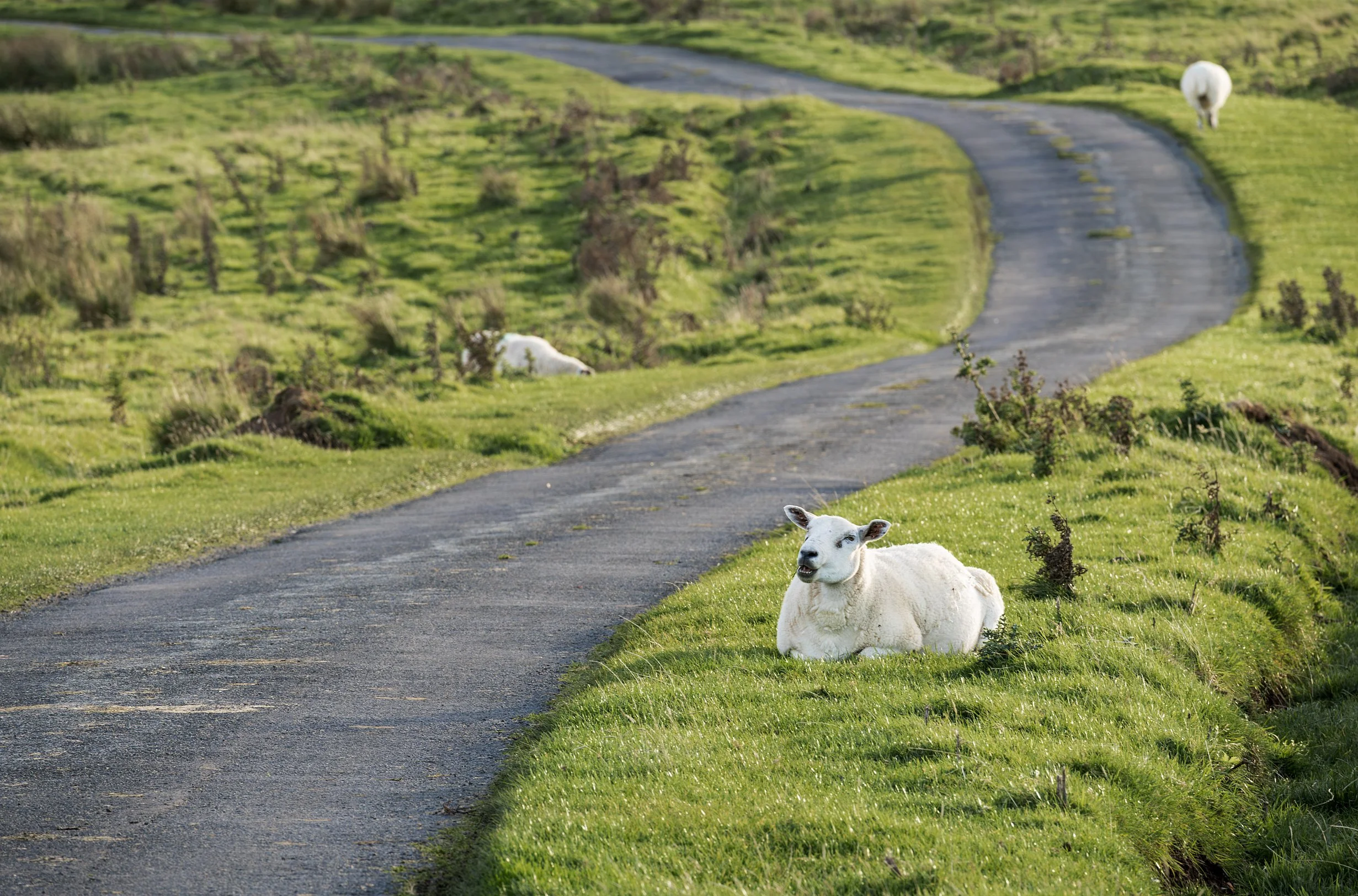 Causeway Coast, Northern Ireland