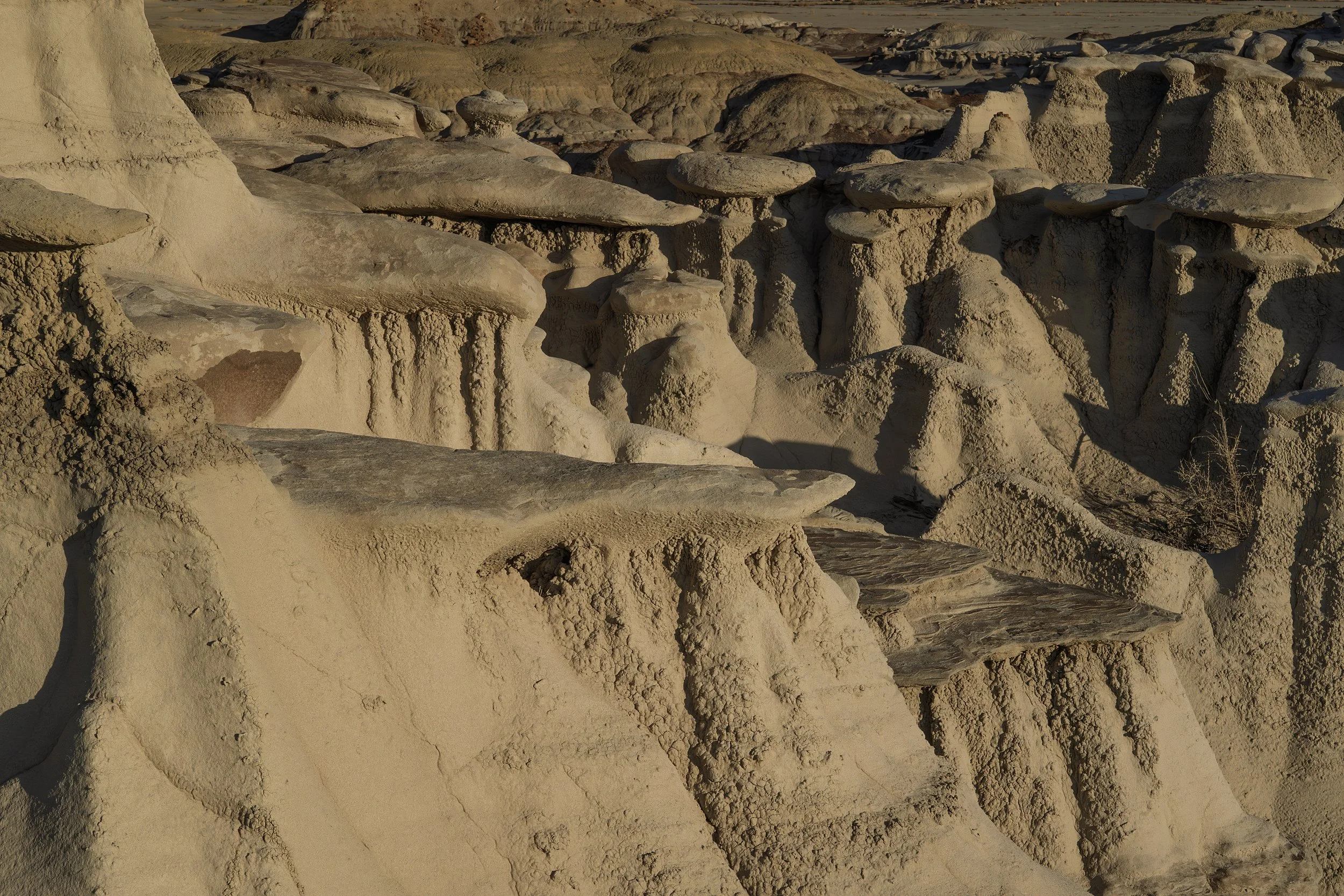 Bisti/De-Na-Zin Wilderness, USA