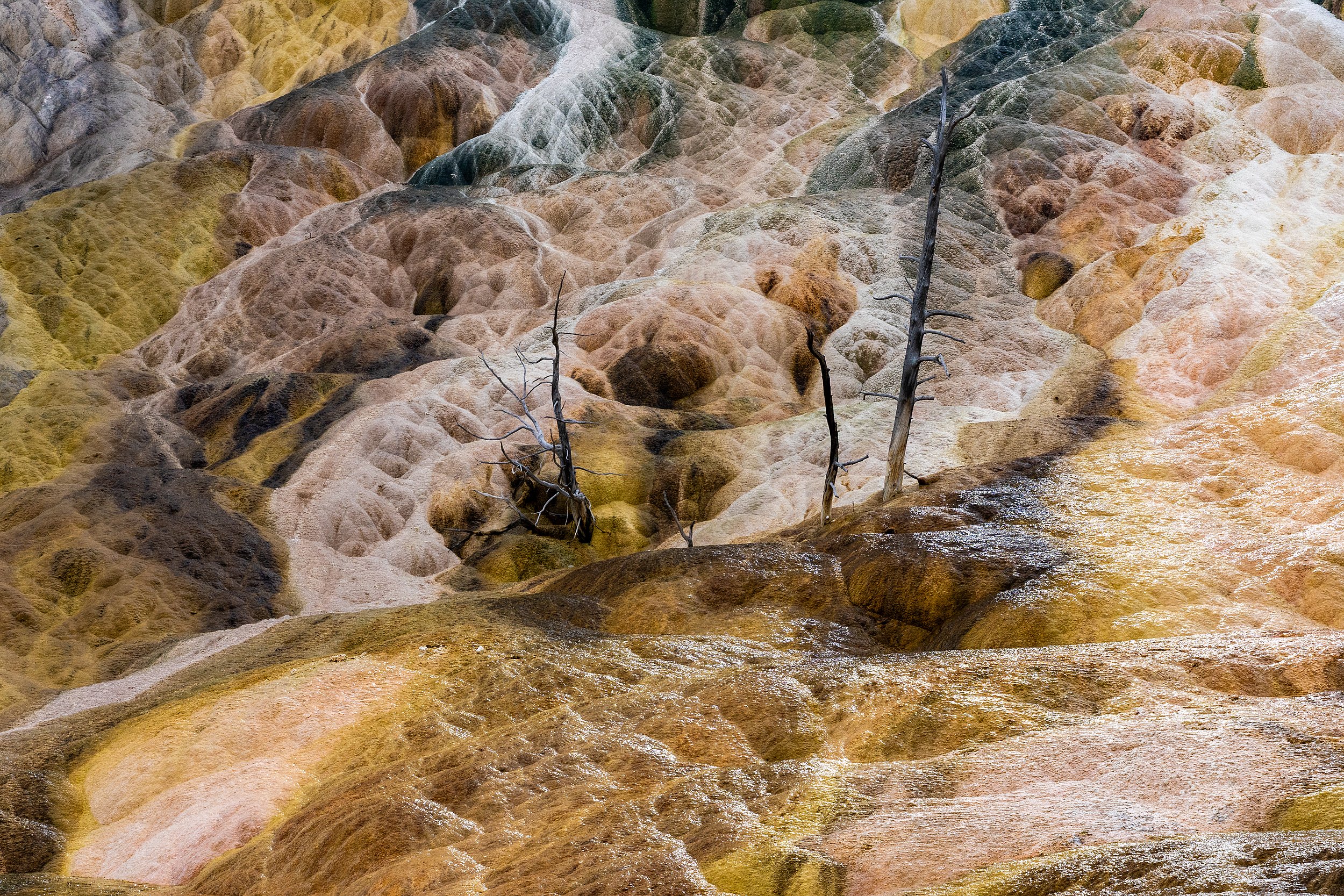 Mammoth Hot Springs, Yellowstone, USA