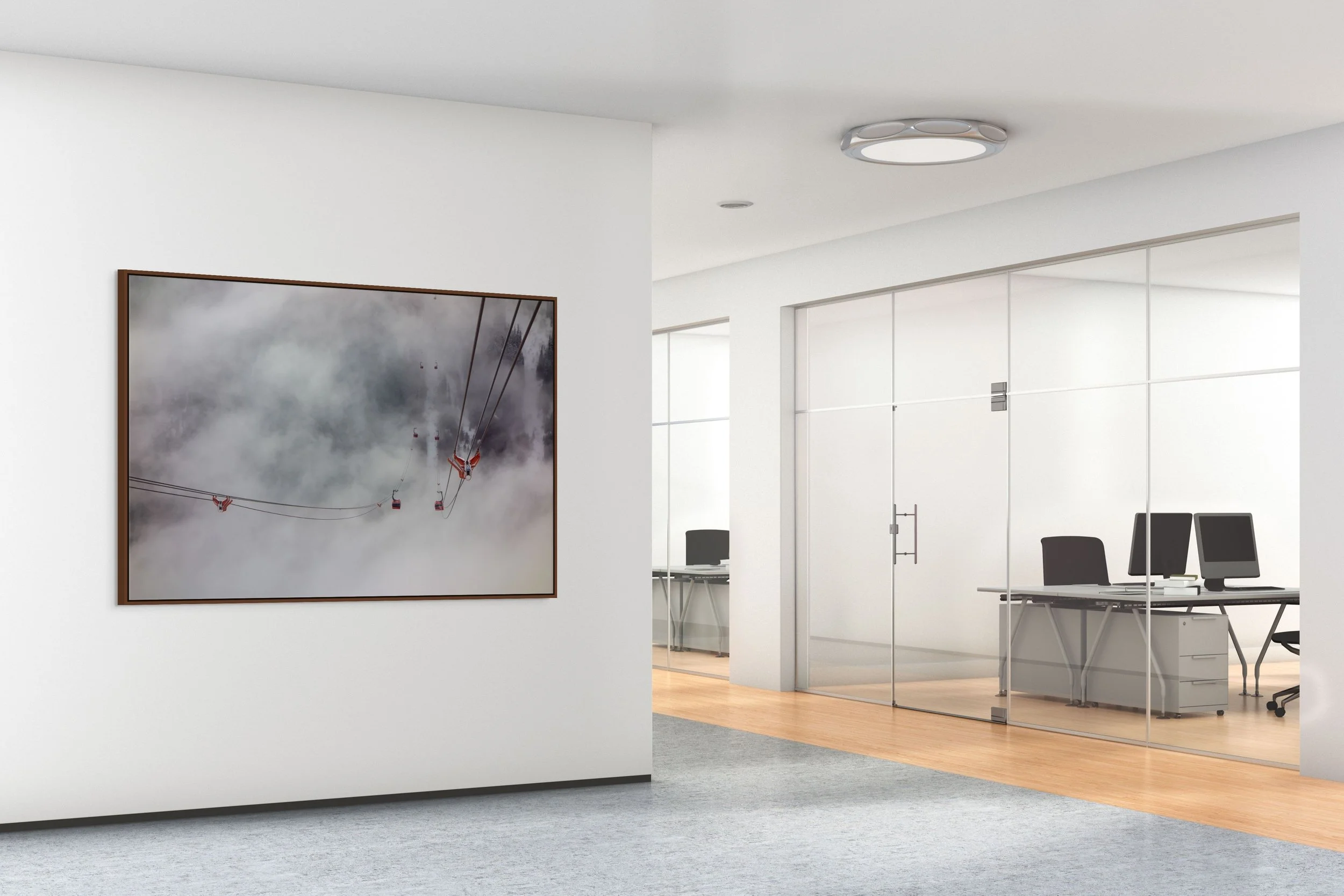 suspended in silence alder brown.jpg