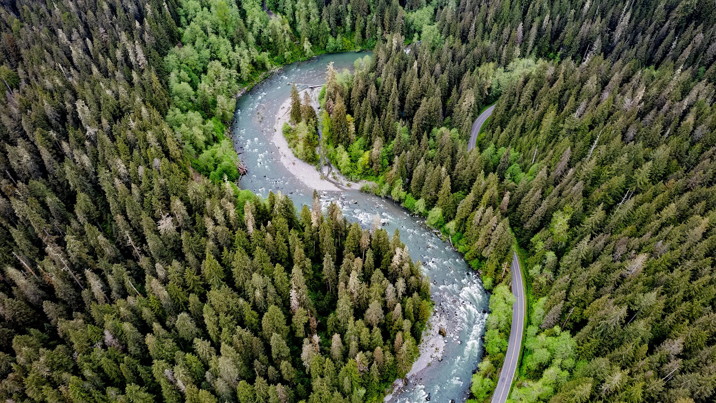 Woven by Water - Stillaguamish River, USA
