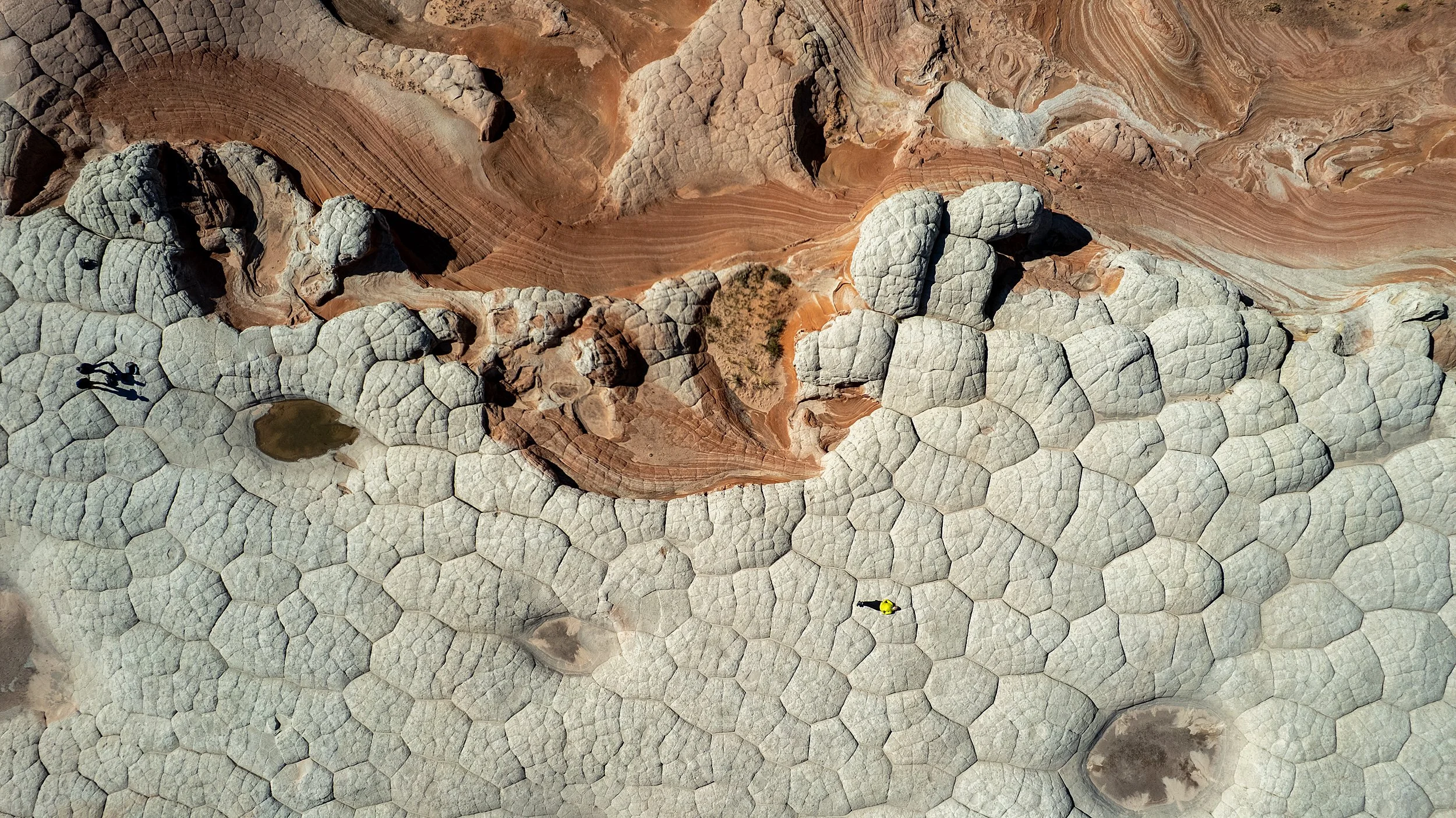 Brain Rock, White Pocket, USA