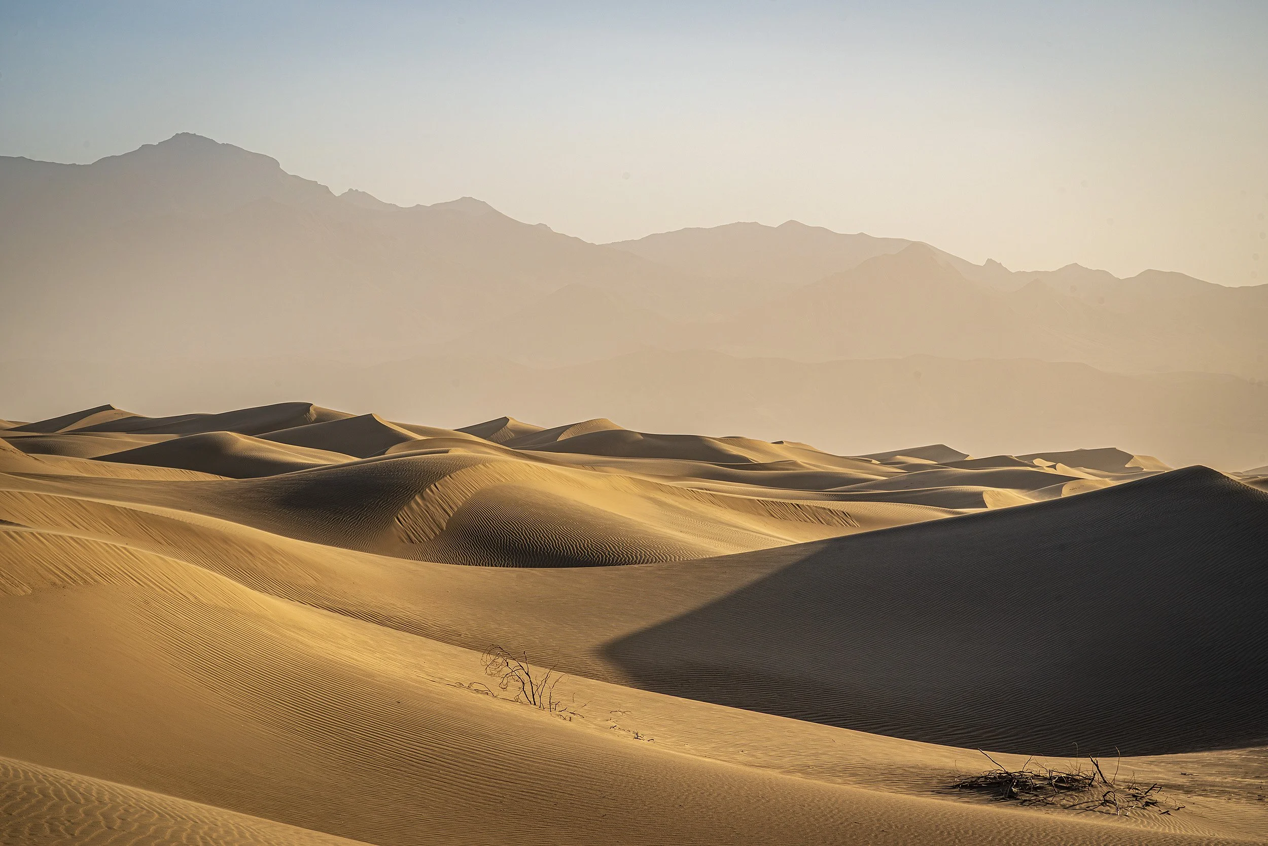 Desert Light & Night (April 2026)