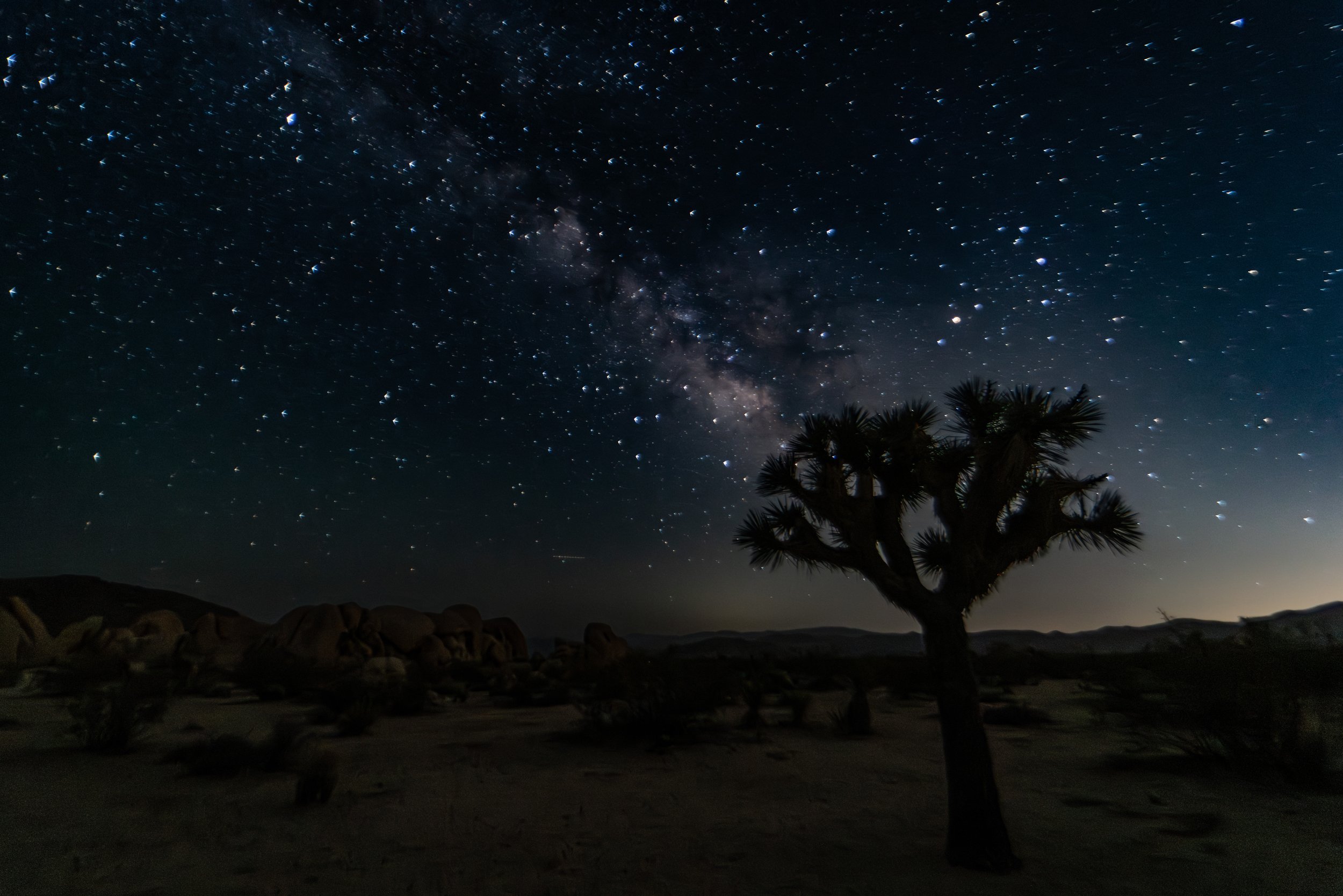 Joshua Tree, USA