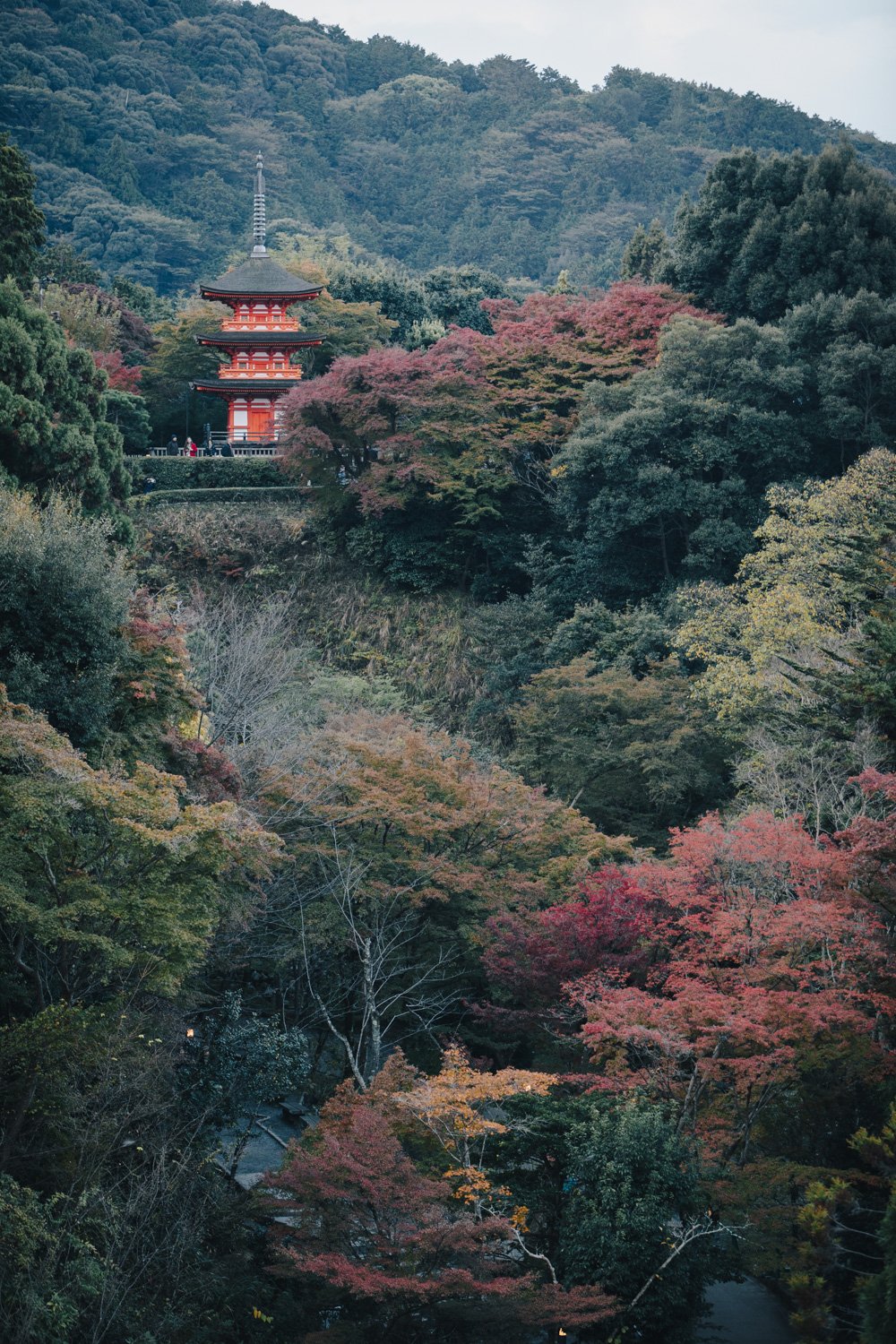 KYOTO_Kiyomizudera_Temple_Japan_Autumn.jpg