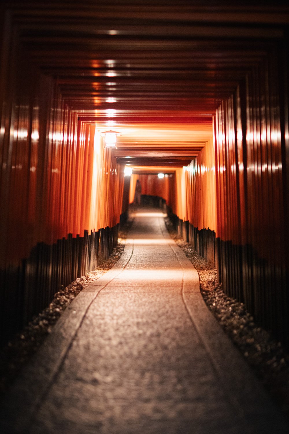 Kyoto_Fushimi_Inari_Taisha_Night.jpg