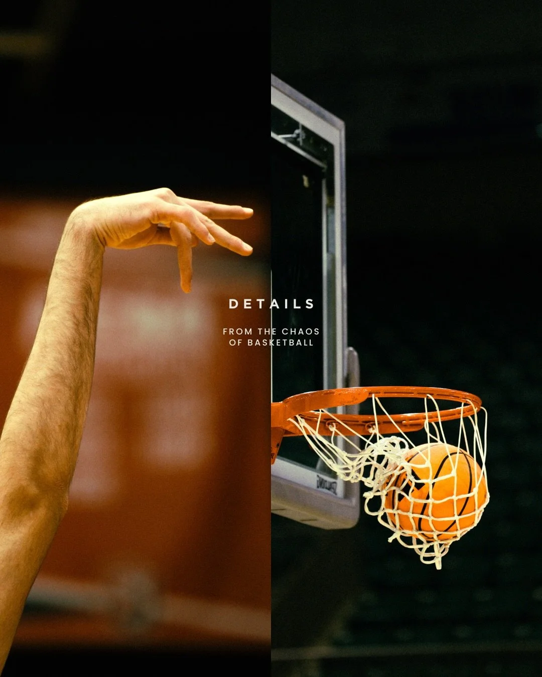 A break from the rolling pictures📷