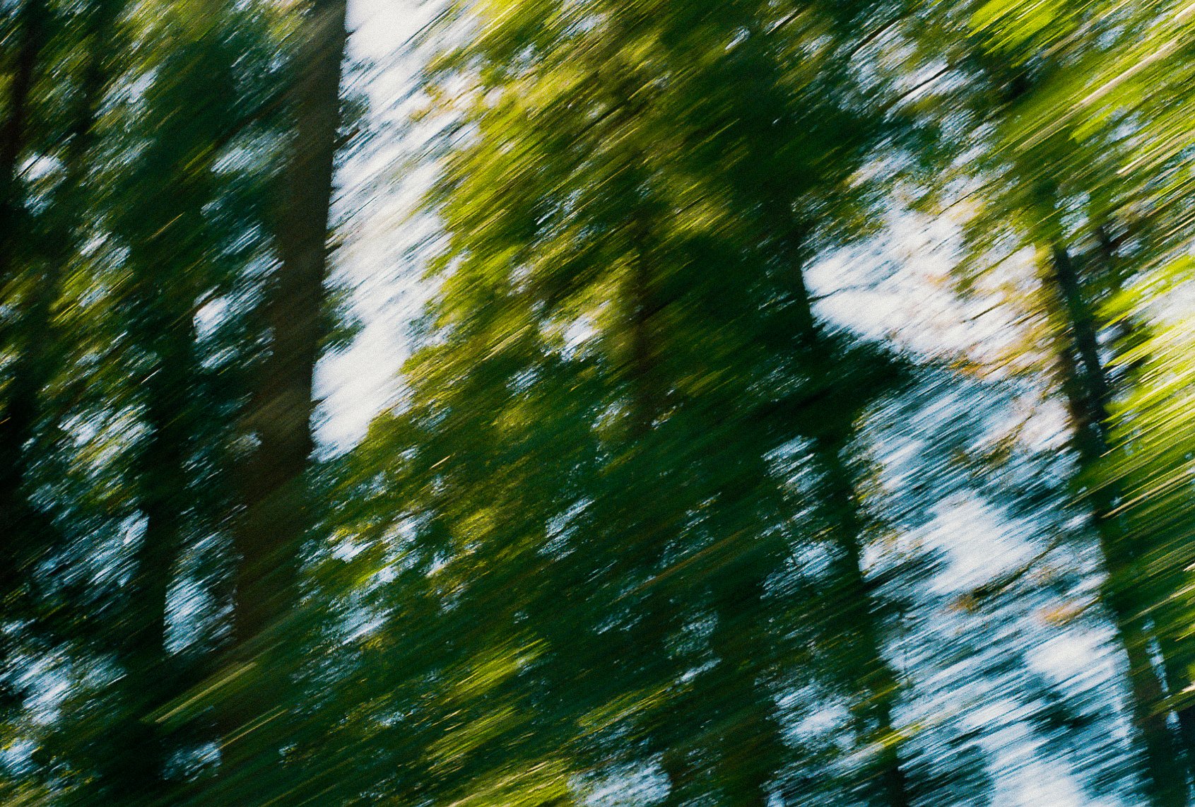 0875909_0875909-R1-065-31.jpg