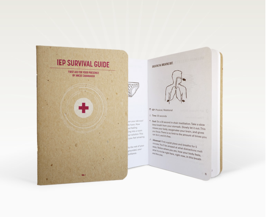 The IEP Survival Guide: First Aid for Your Presence