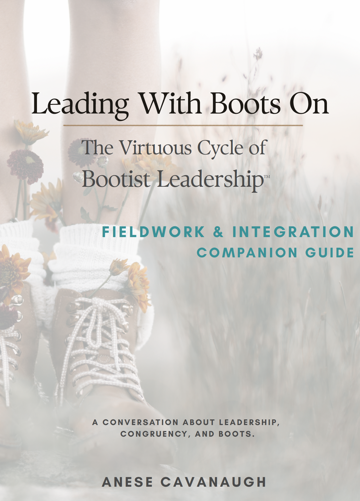 Stepping Stones: Bootist Leadership® Integration & FieldWork Guide (Download Now!)