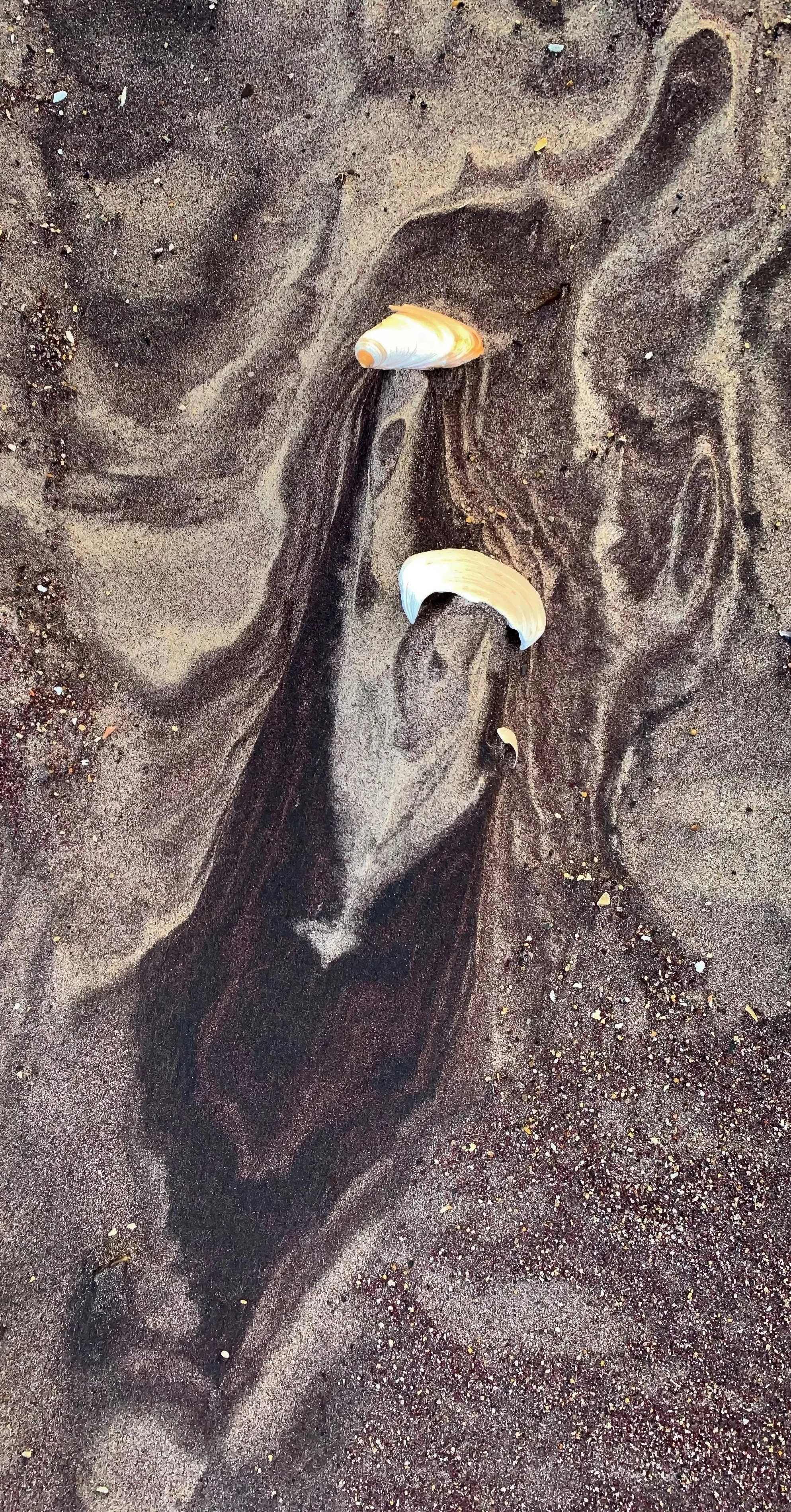 Shoreline Abstraction  |  8x12