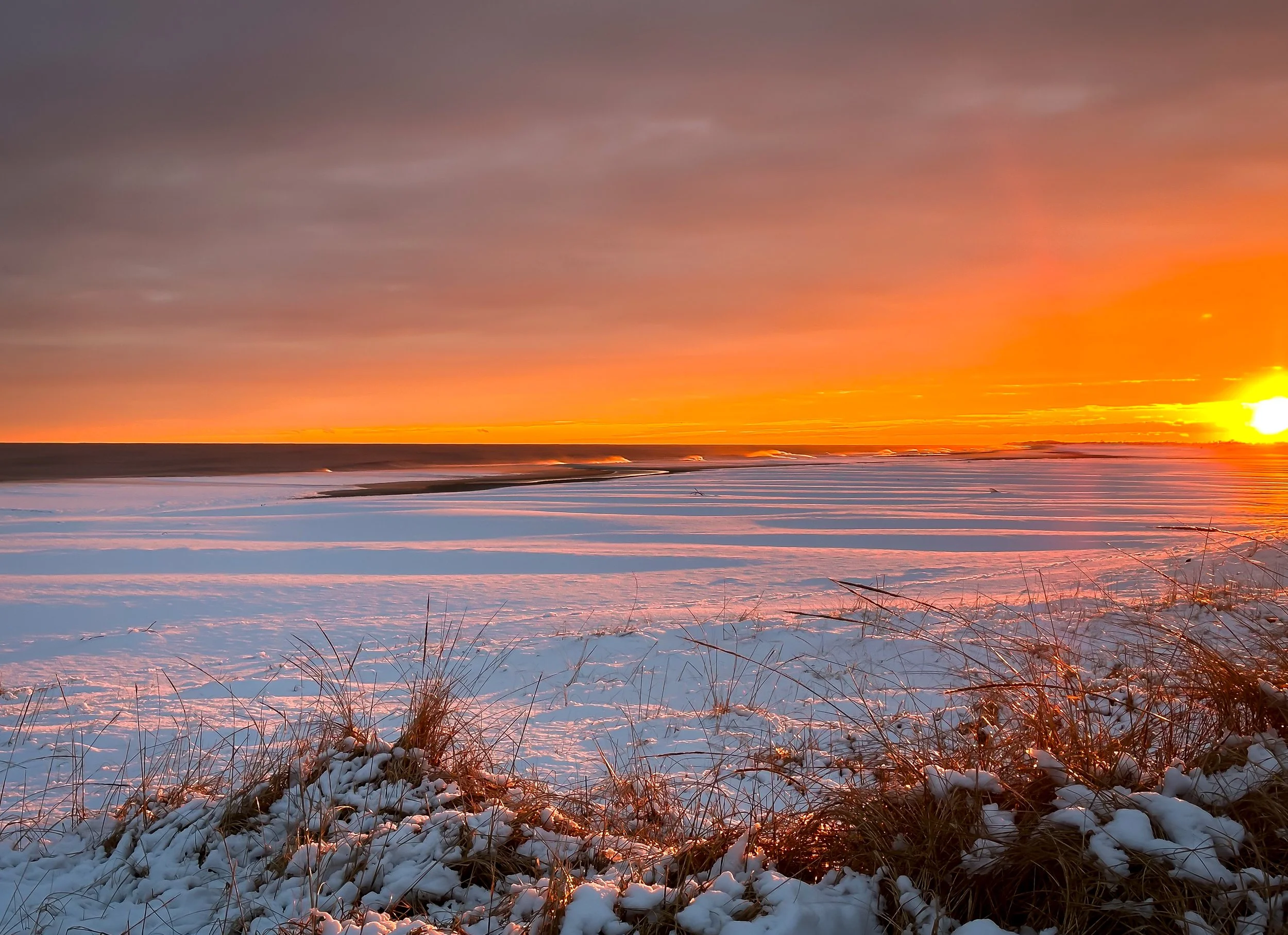 Frozen in a Blush Sky  |  11x14