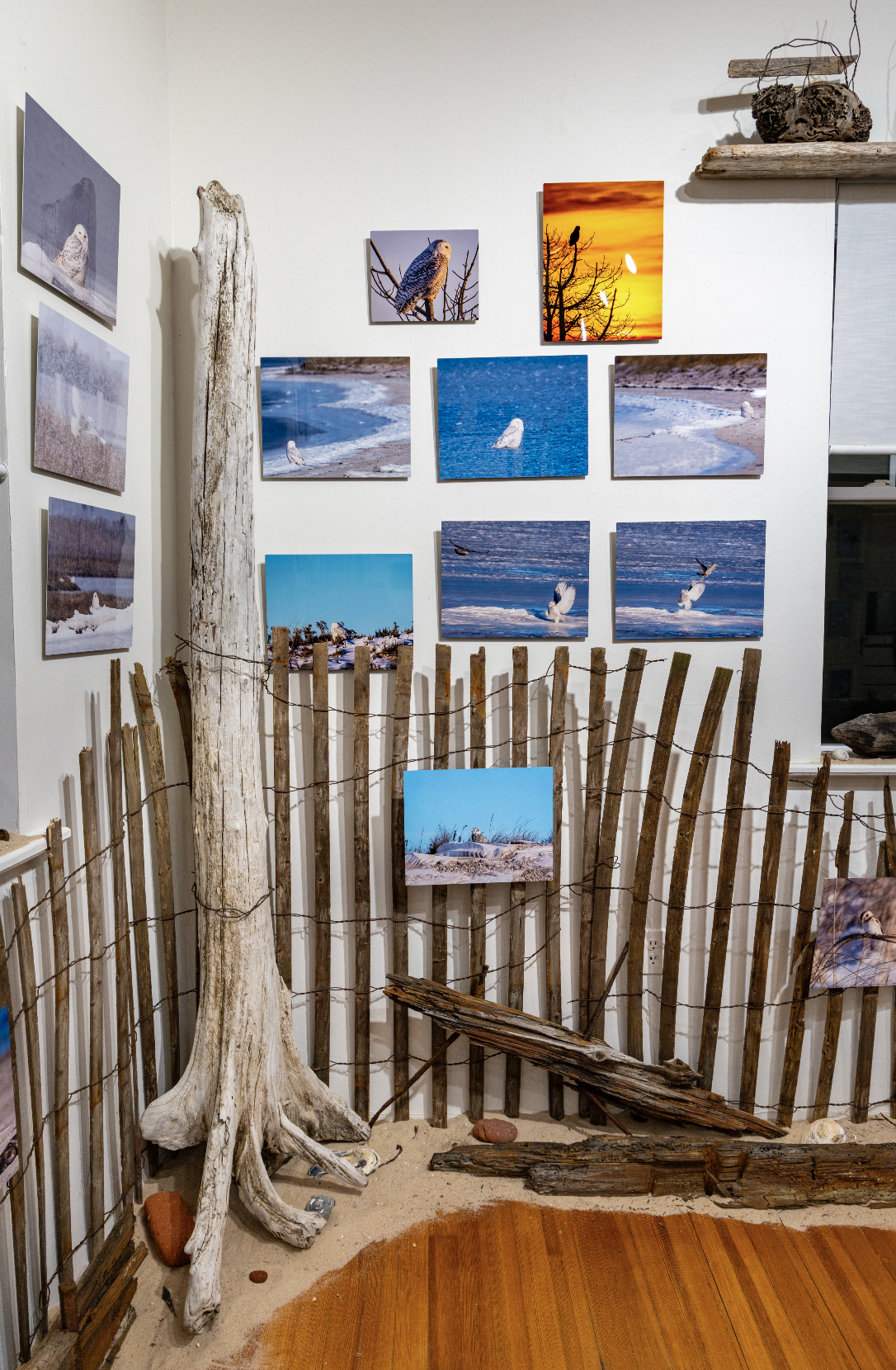 tide and terrain joe yaiullo kasher gallery and studios photography and art collectors - 19.png