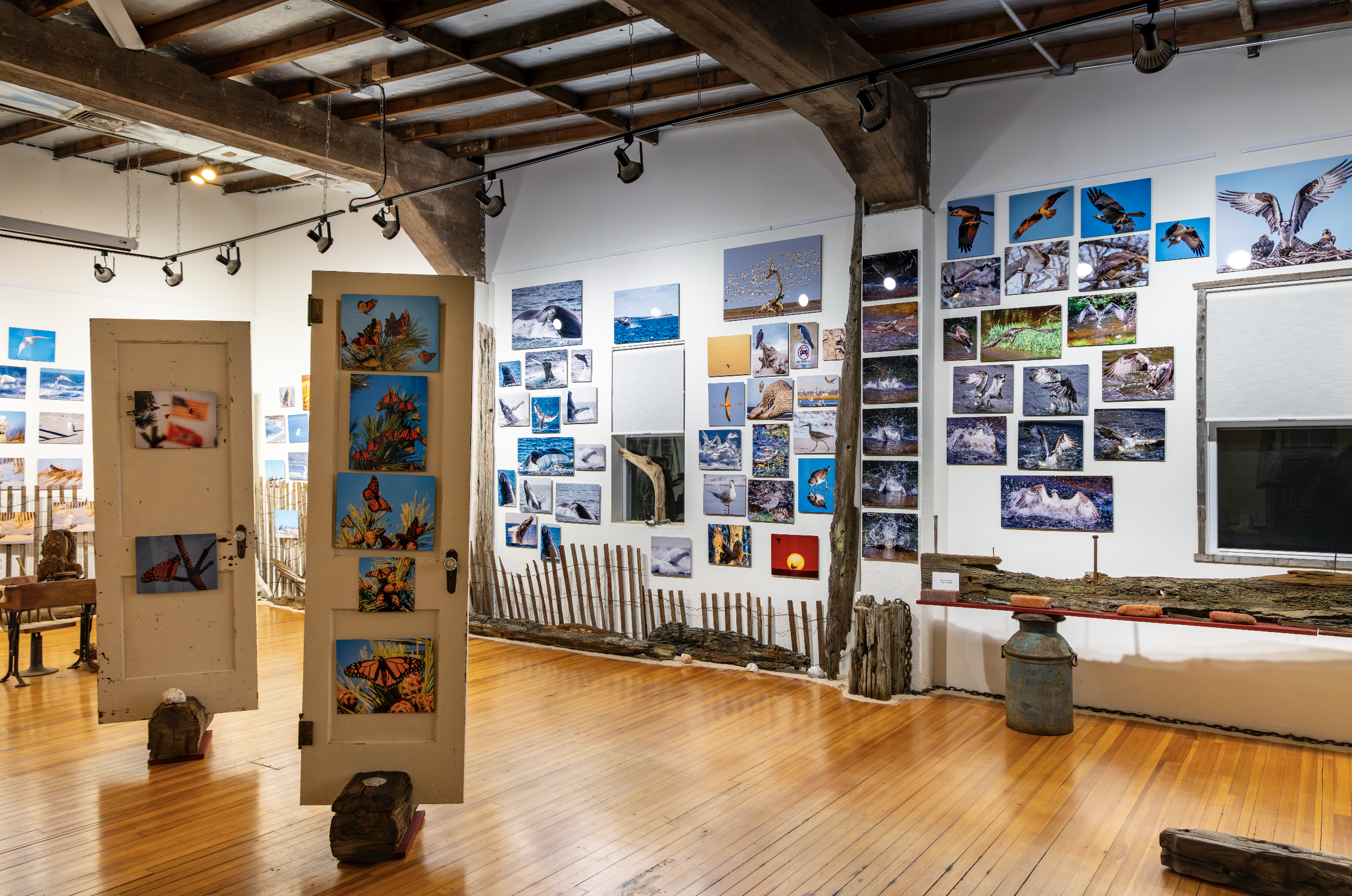 tide and terrain joe yaiullo kasher gallery and studios photography and art collectors - 27.png