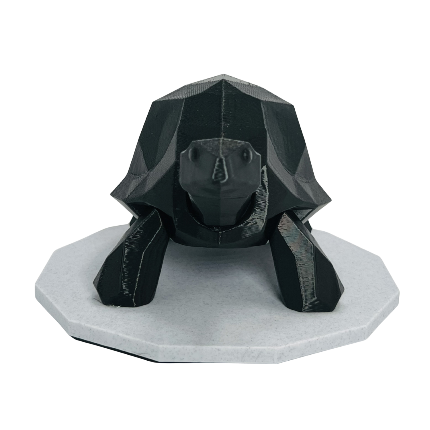 Midnight Journey Tortoise-1.png