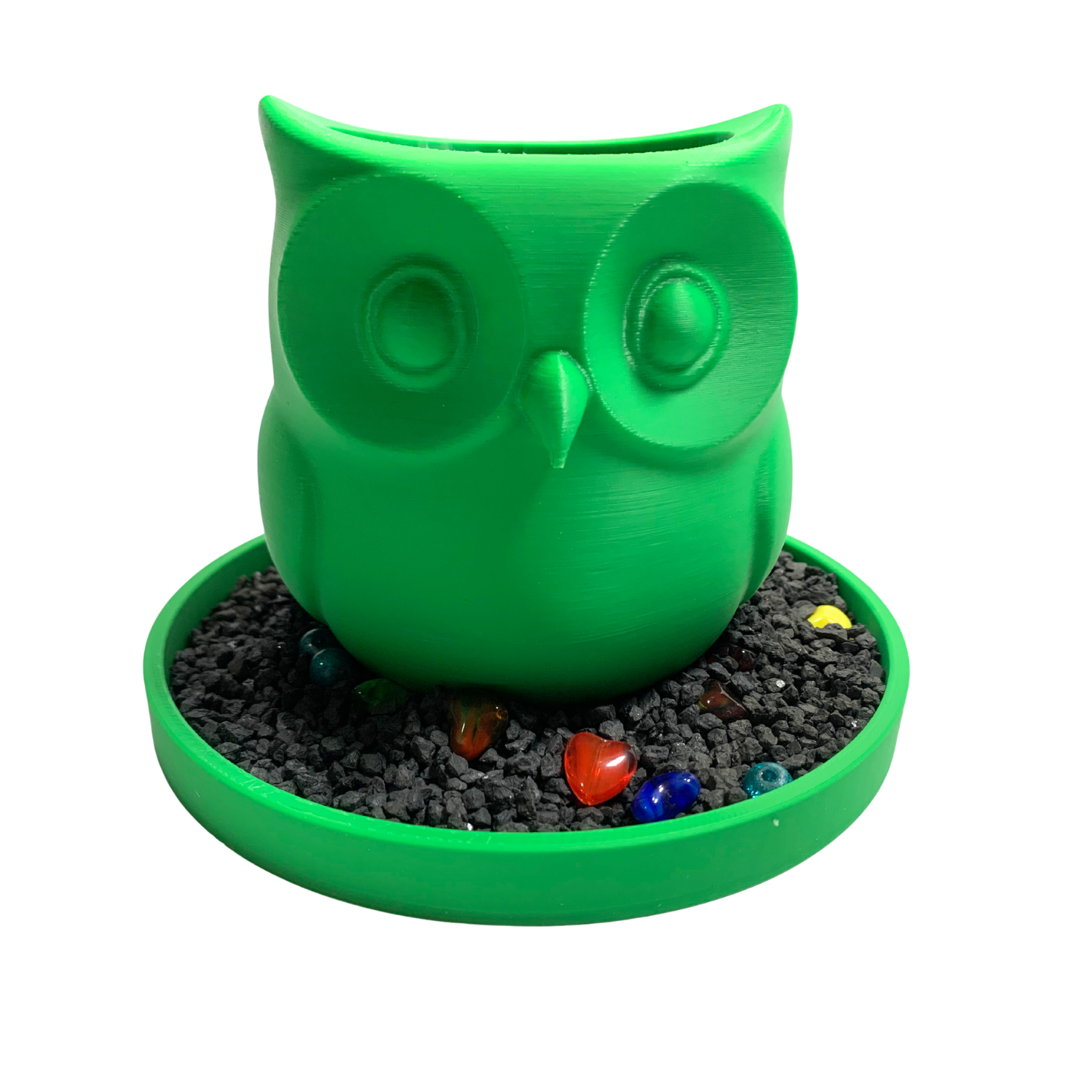 Whoo’s in Bloom