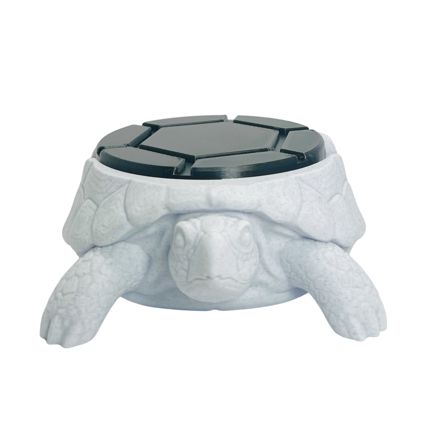 Snowcap Turtle Coaster Set-2.png