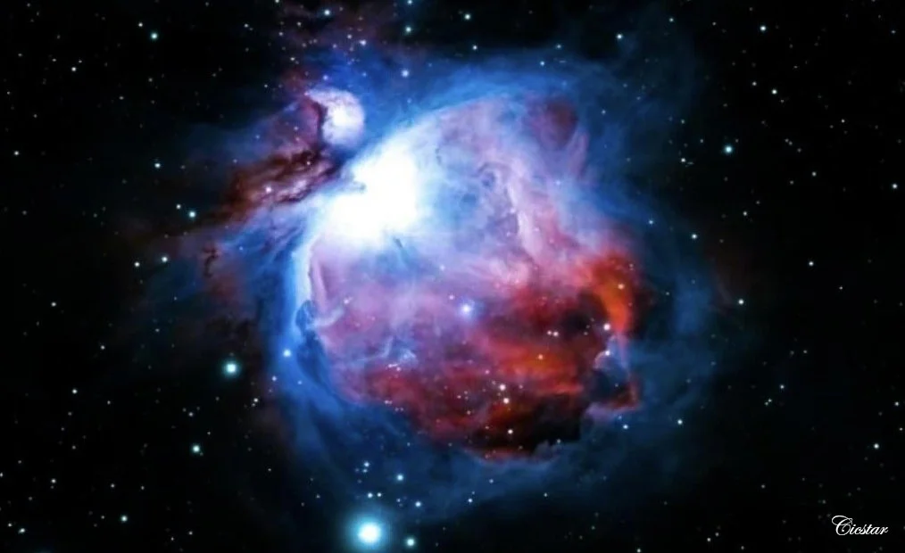 10_orion.jpg (Copy) (Copy)