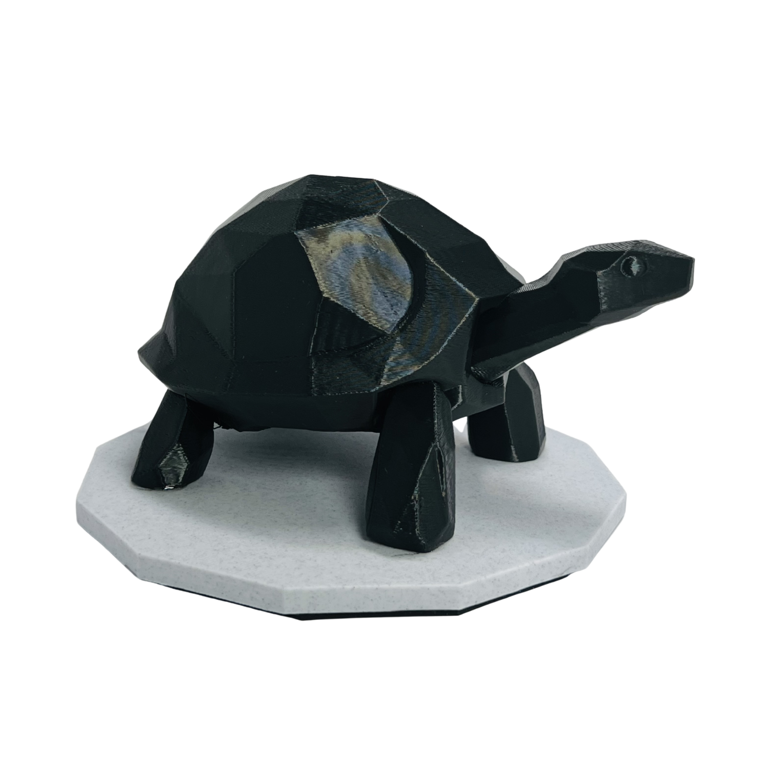 Midnight Journey Tortoise-2.png