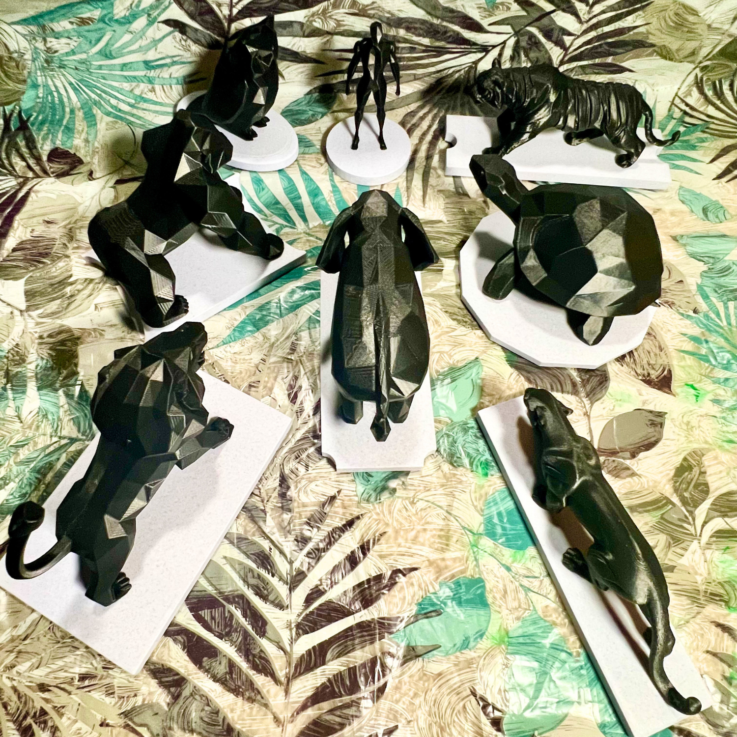 AdamCollection-2.png