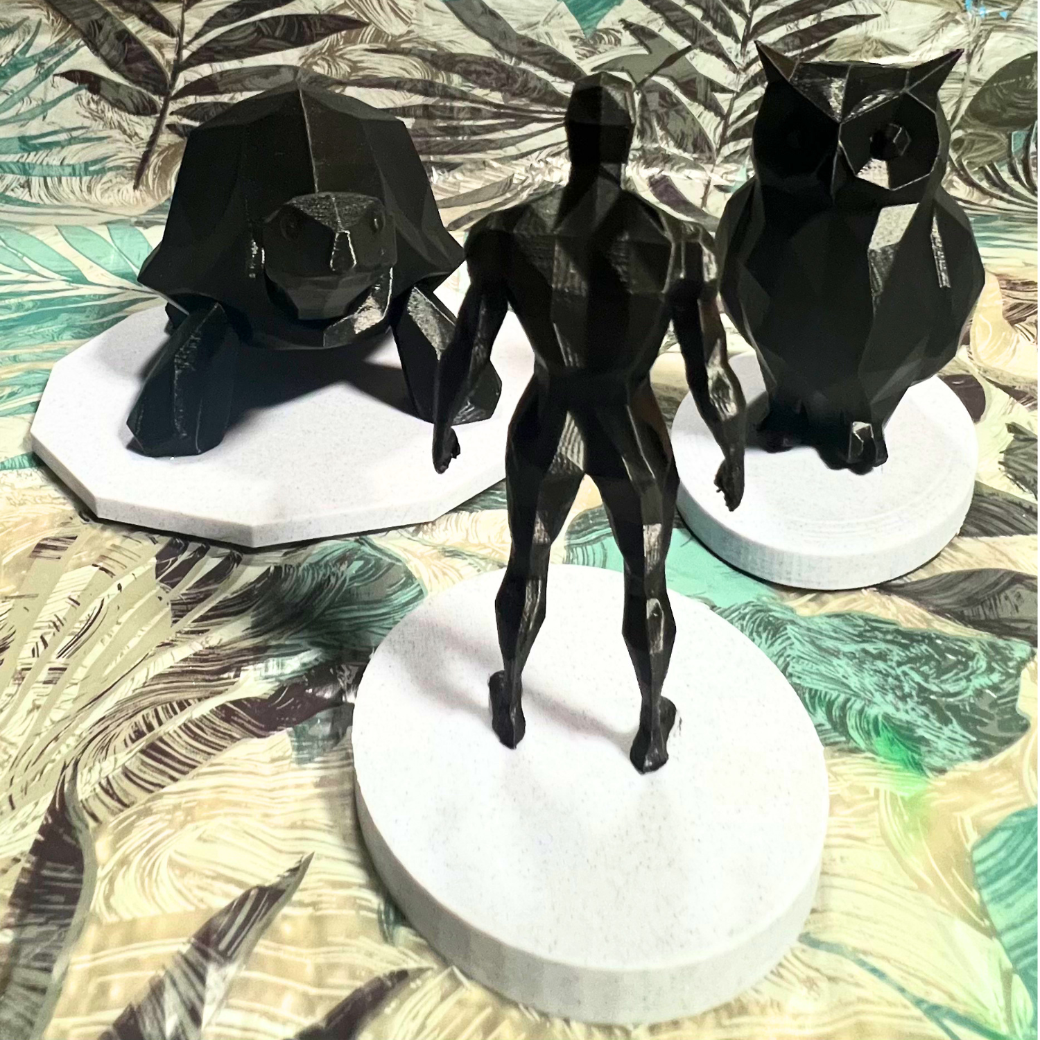AdamCollection-4.png