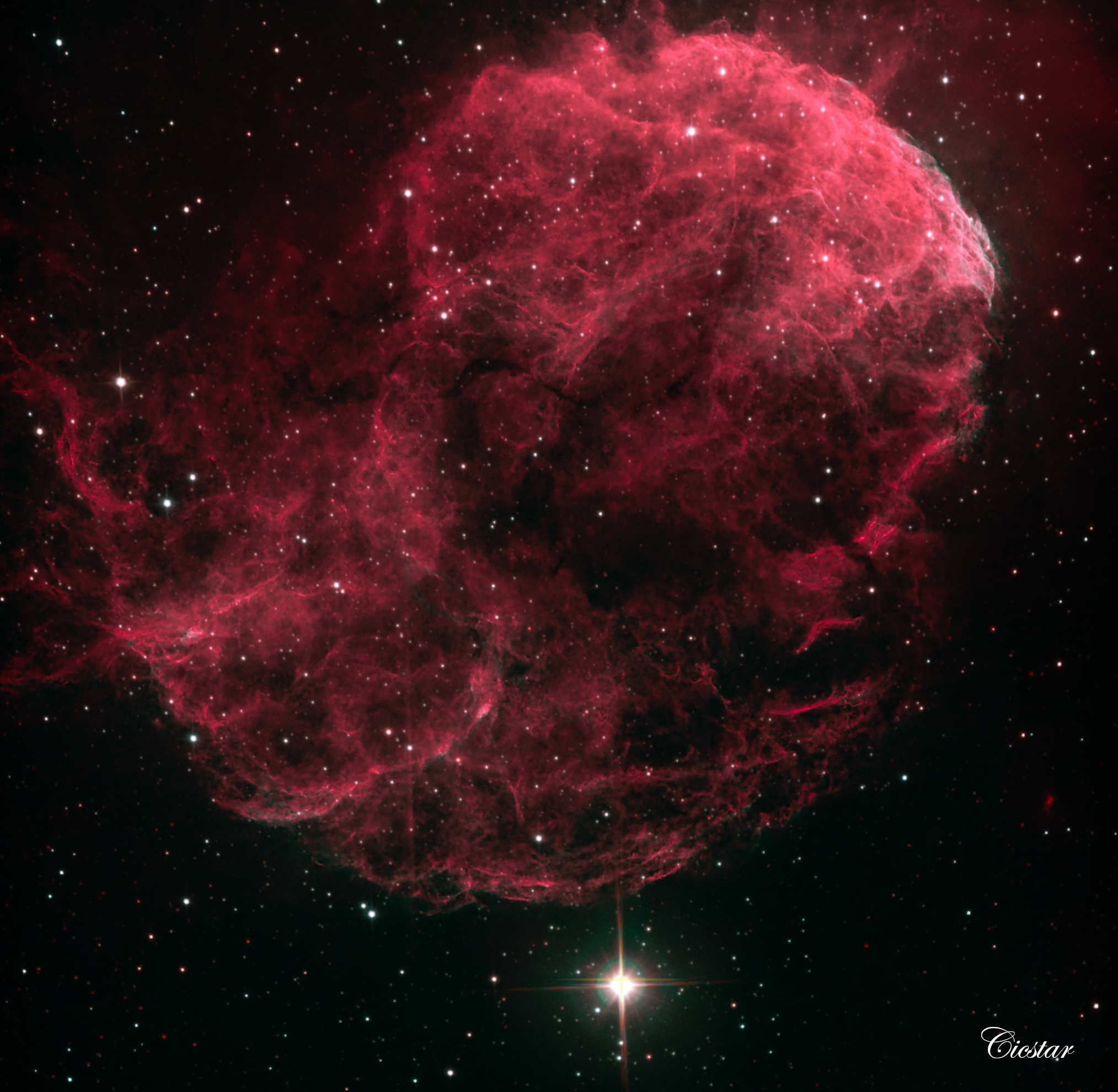 Jelly.Crpd.png (Copy)