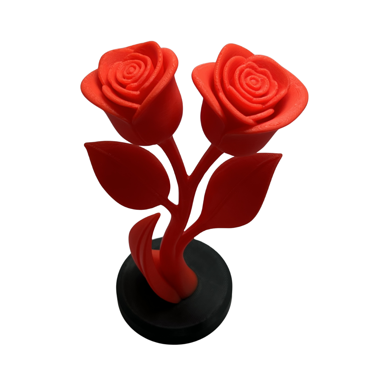 Forever Bloom Rose Duo-3.png
