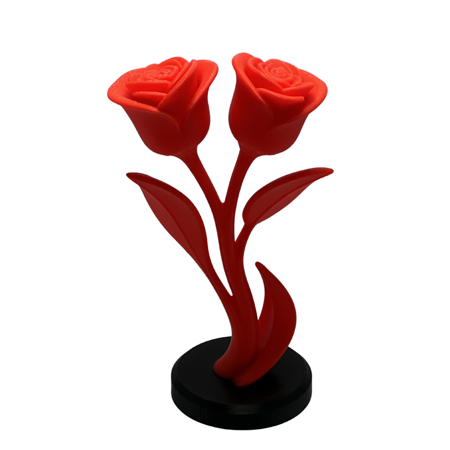 Forever Bloom Rose Duo-2.png