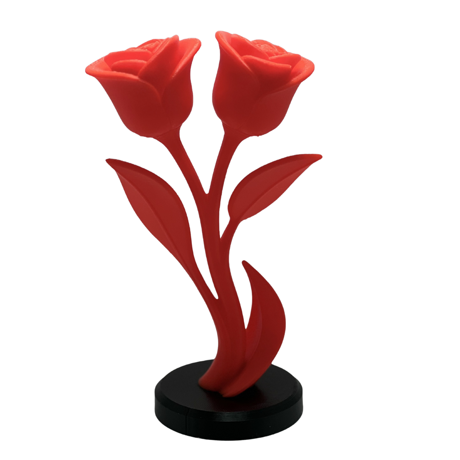Forever Bloom Rose Duo-1.png