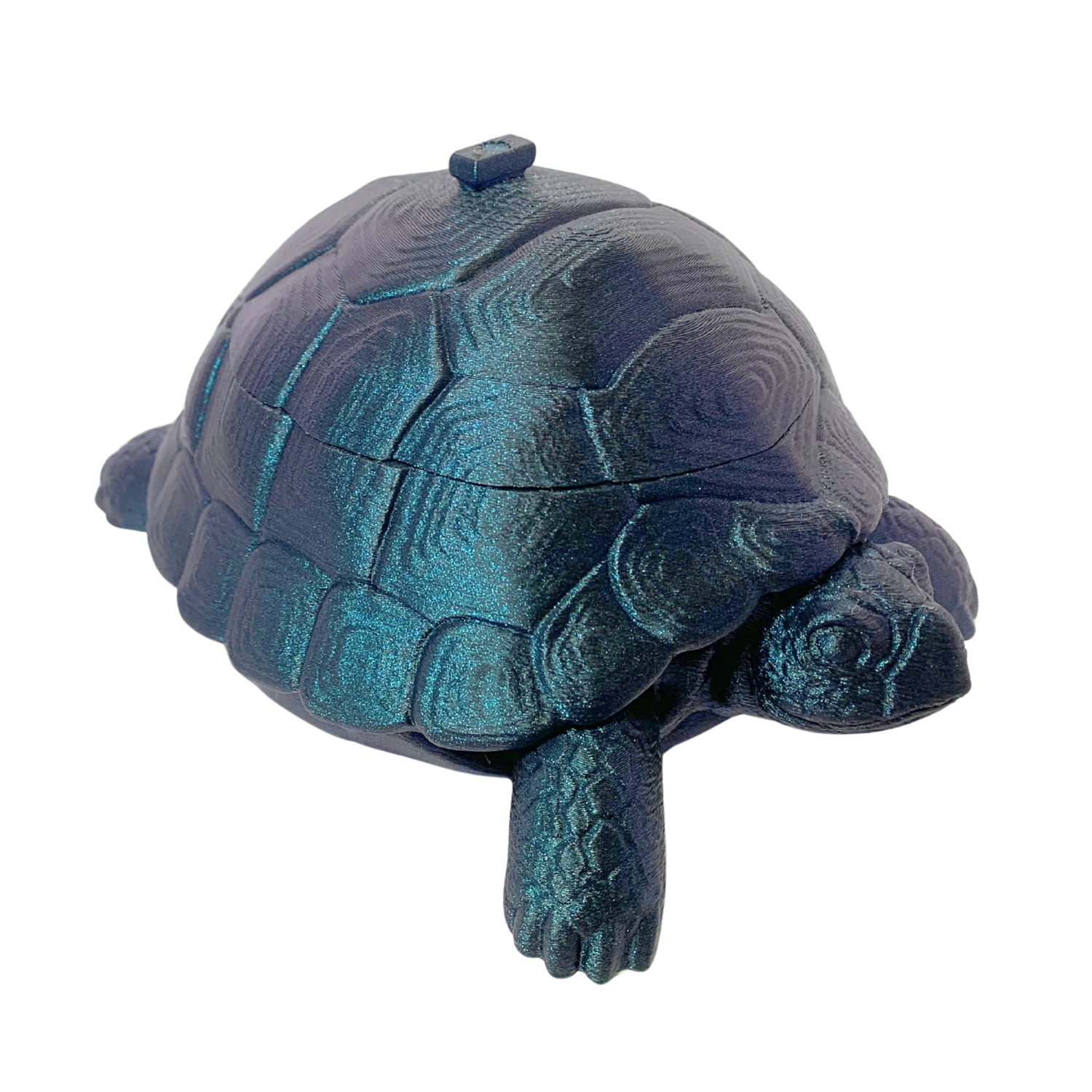 Midnight Tide Turtle Trinket Box-1.png