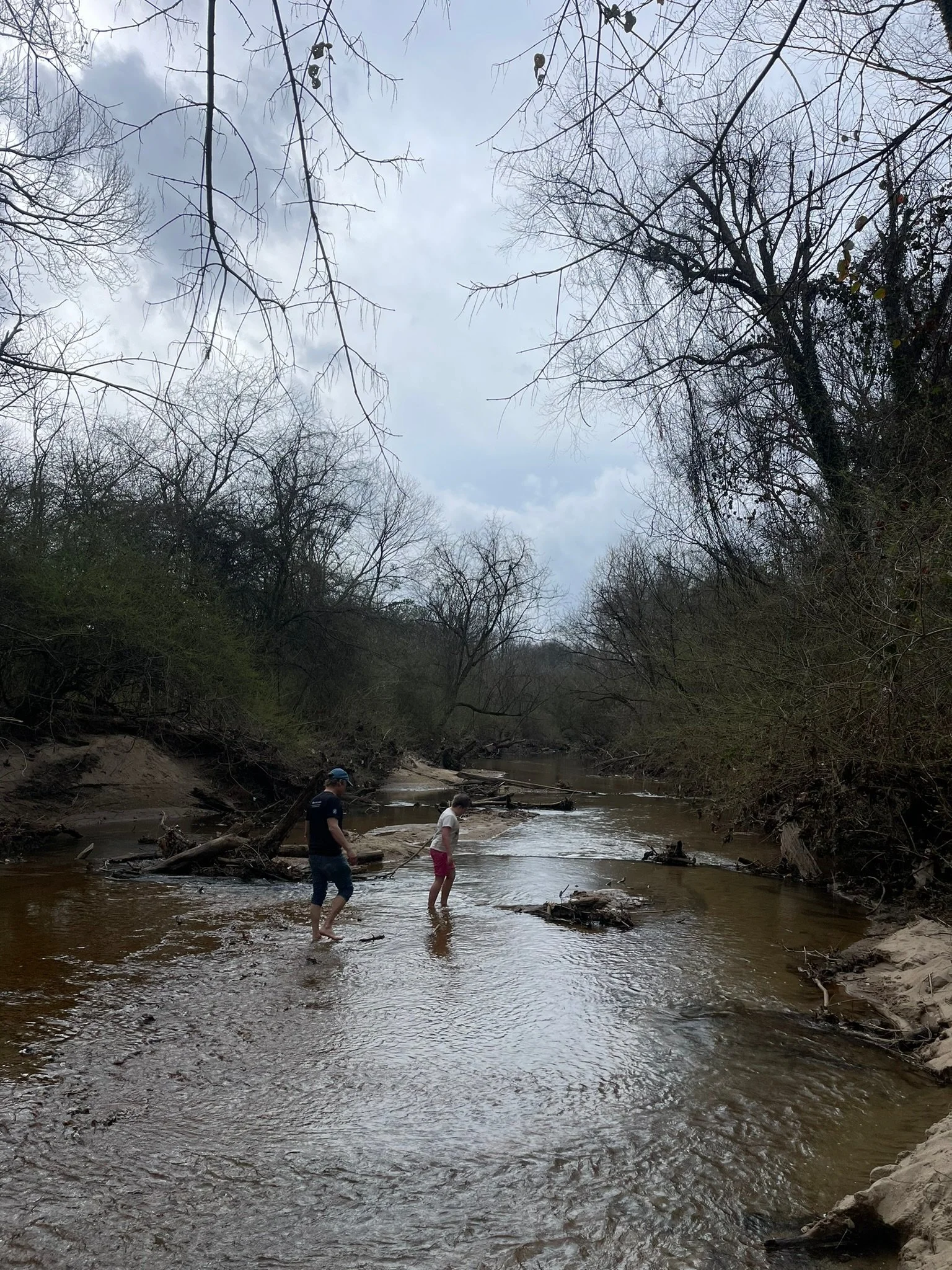 Parent and Caregiver Coaching Calls