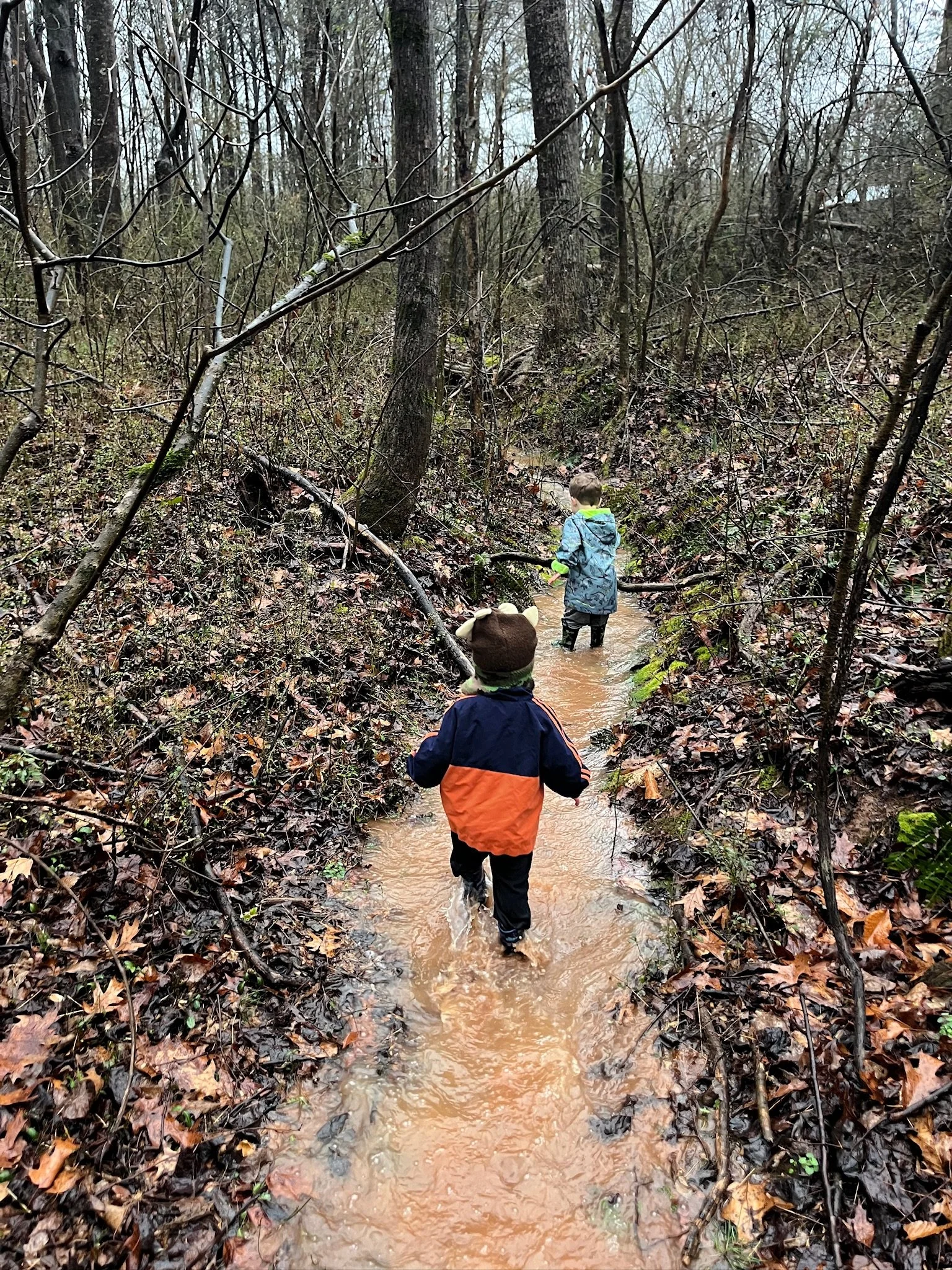 Occupational Therapy Re-Evaluation