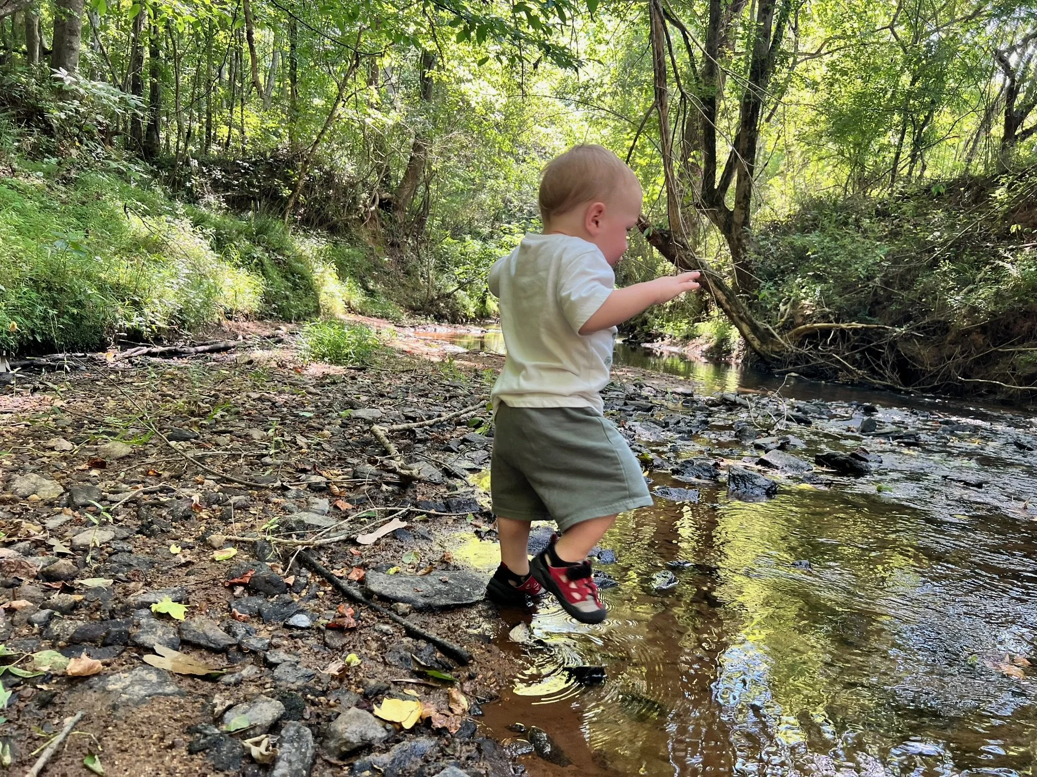 A young boy is playing in a creek in a wooded area during daytime, wearing a light-colored shirt, green shorts, and red and black sandals.