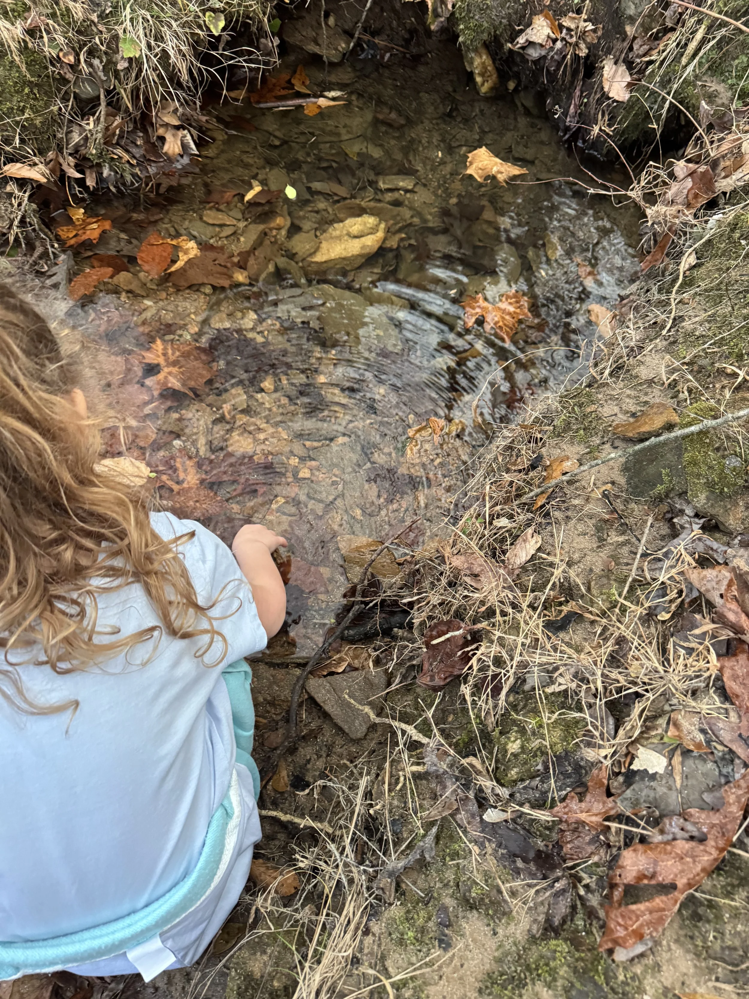 A person with curly hair sits near a small creek or stream surrounded by fallen autumn leaves, rocks, and dry grass.
