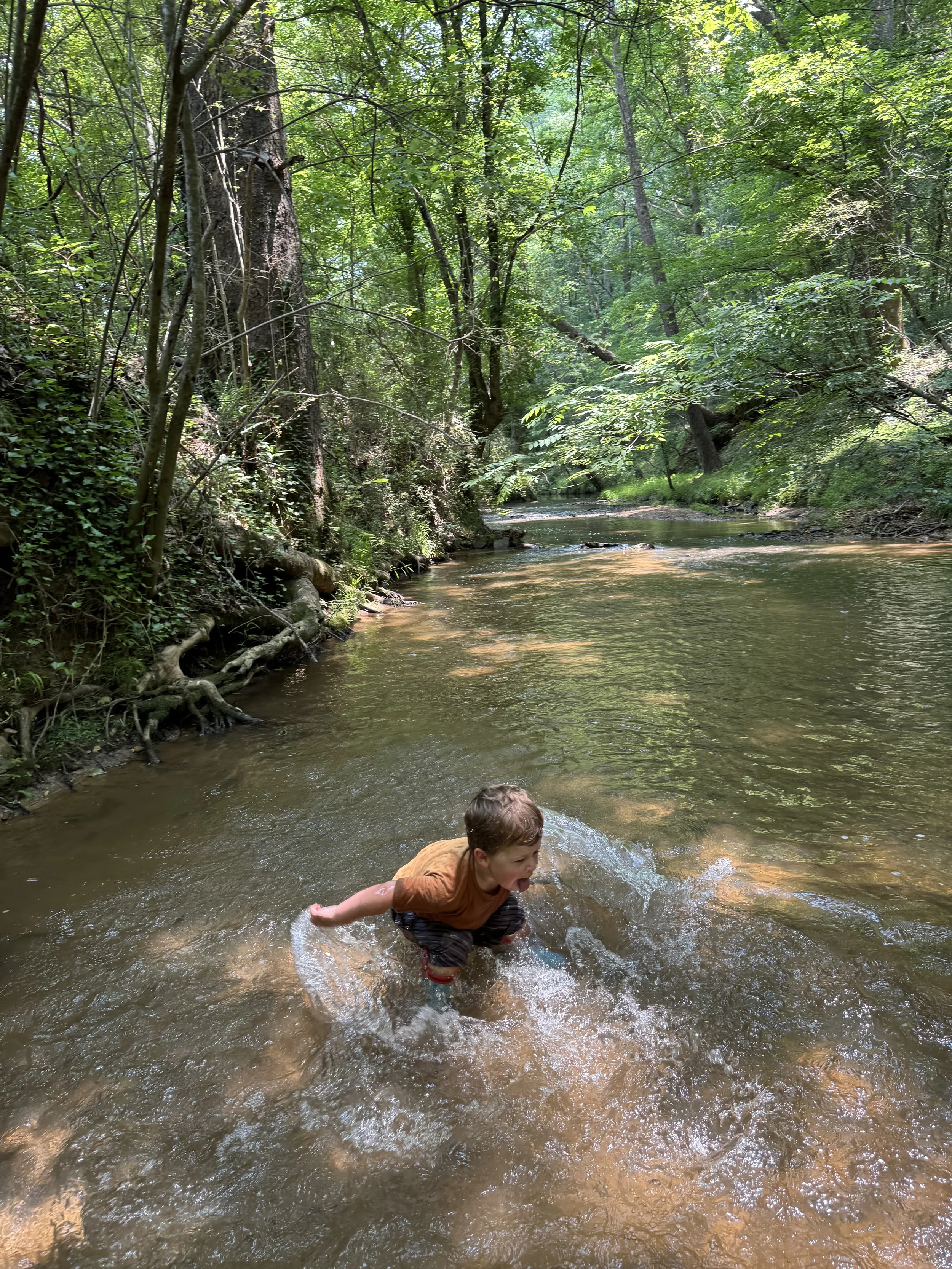 A young boy playing in a shallow creek surrounded by lush green trees in a forest.