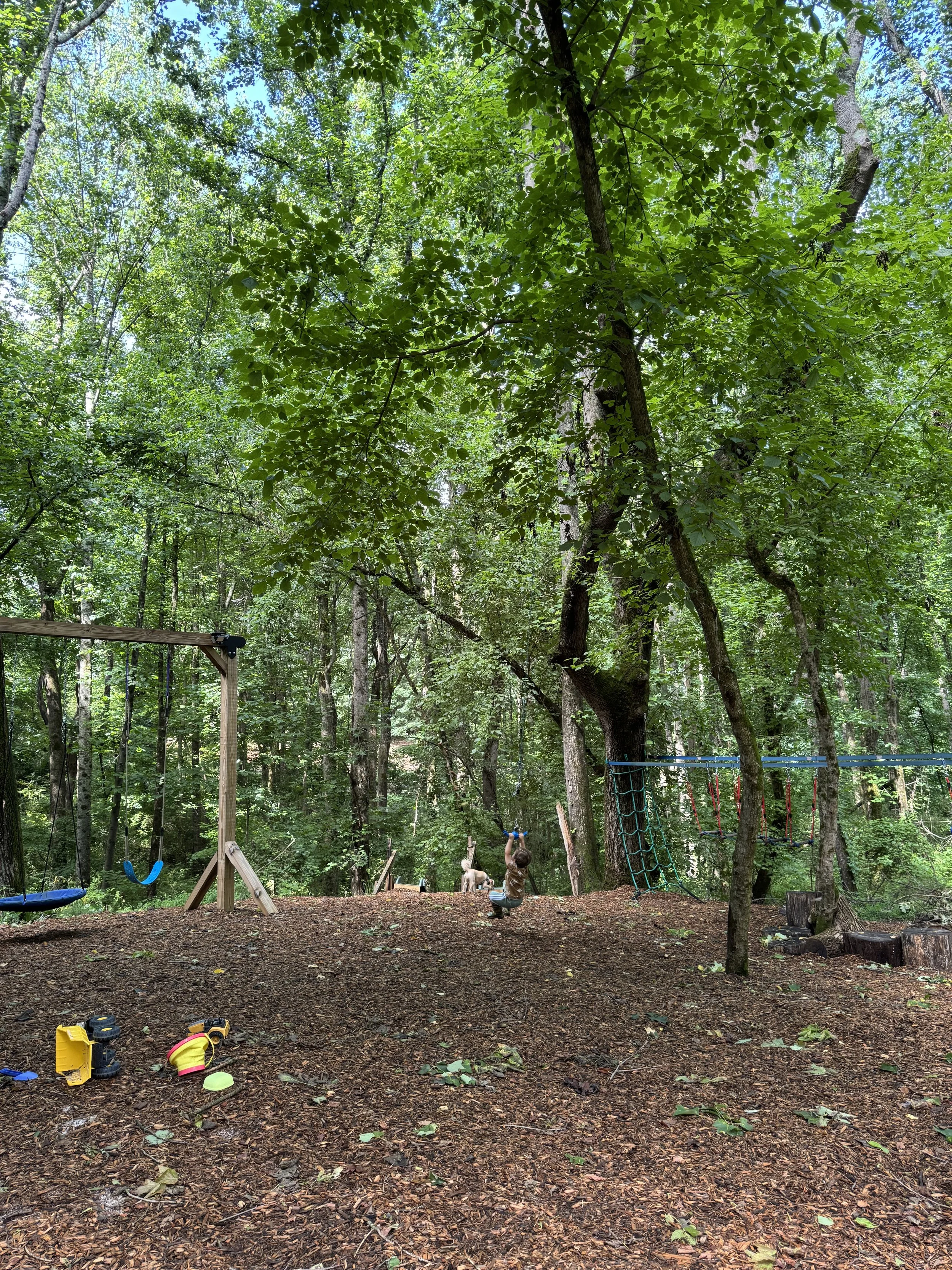 Children playing on swings and climbing equipment in a wooded playground area surrounded by trees and greenery.