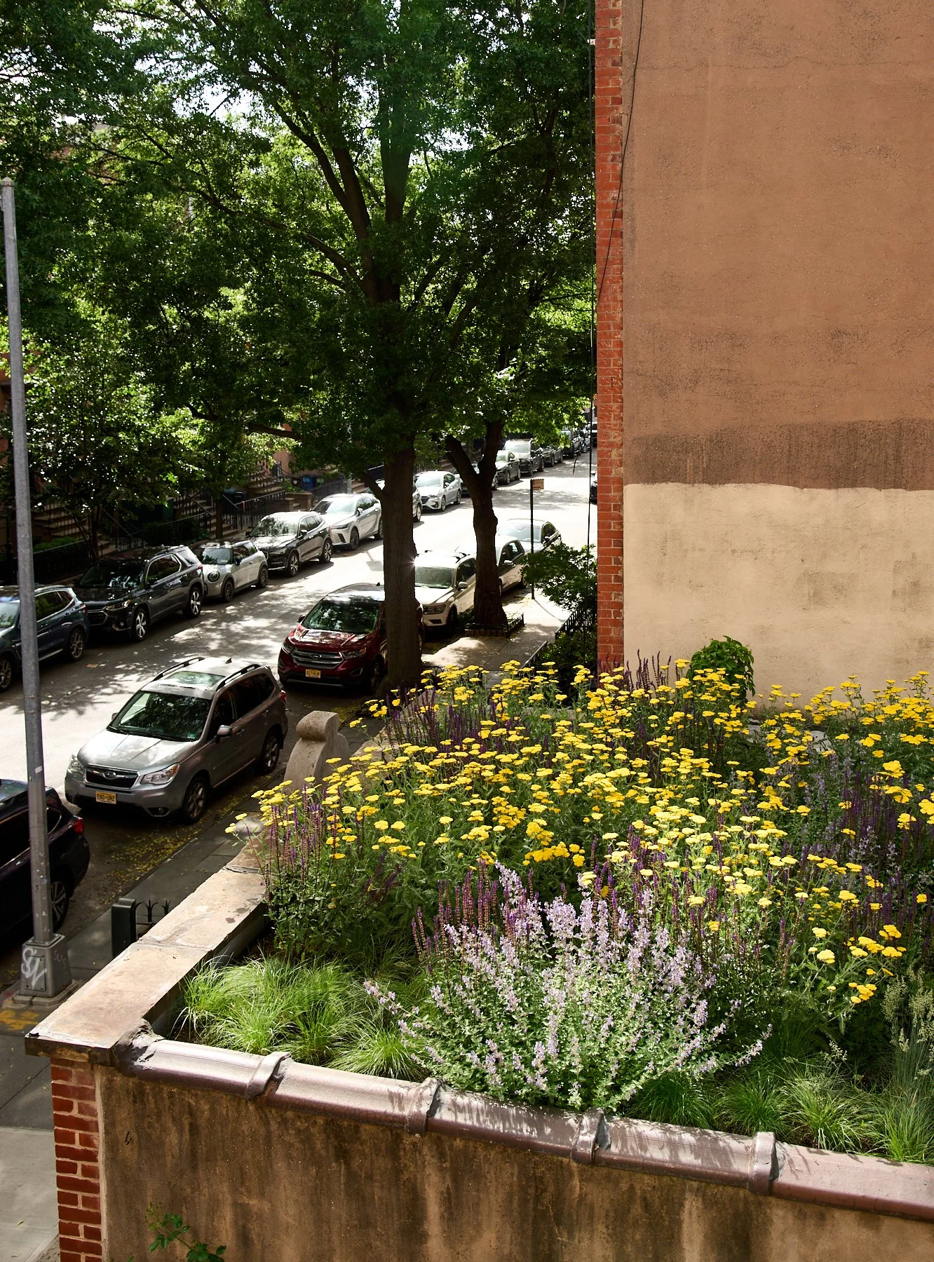 Garage Rooftop Meadowscape