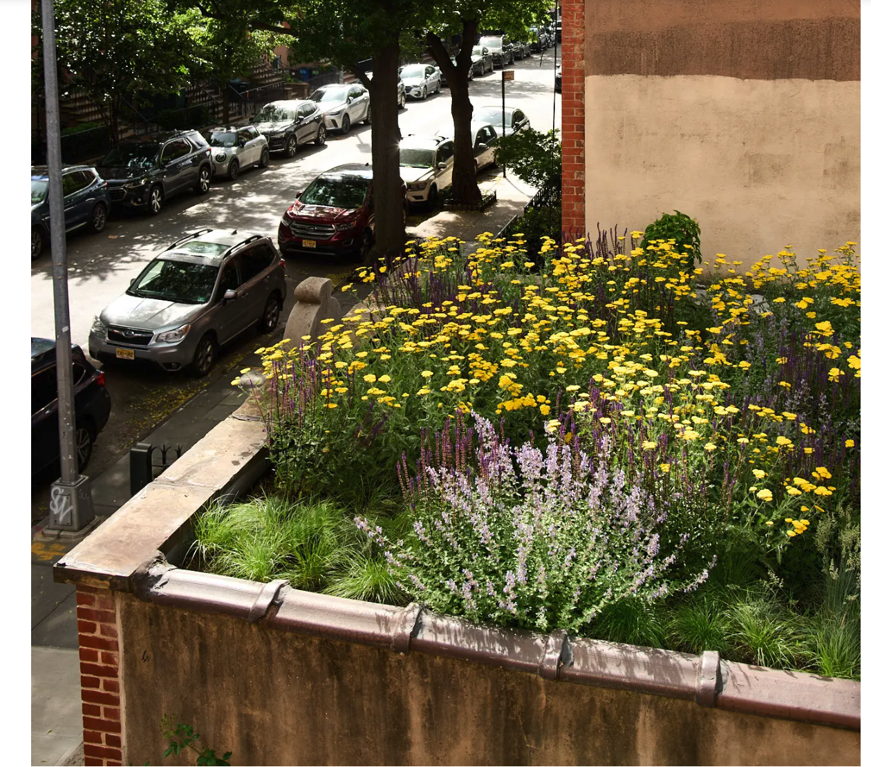 A 320 meadow-like greenroof sites atop a freestanding garage