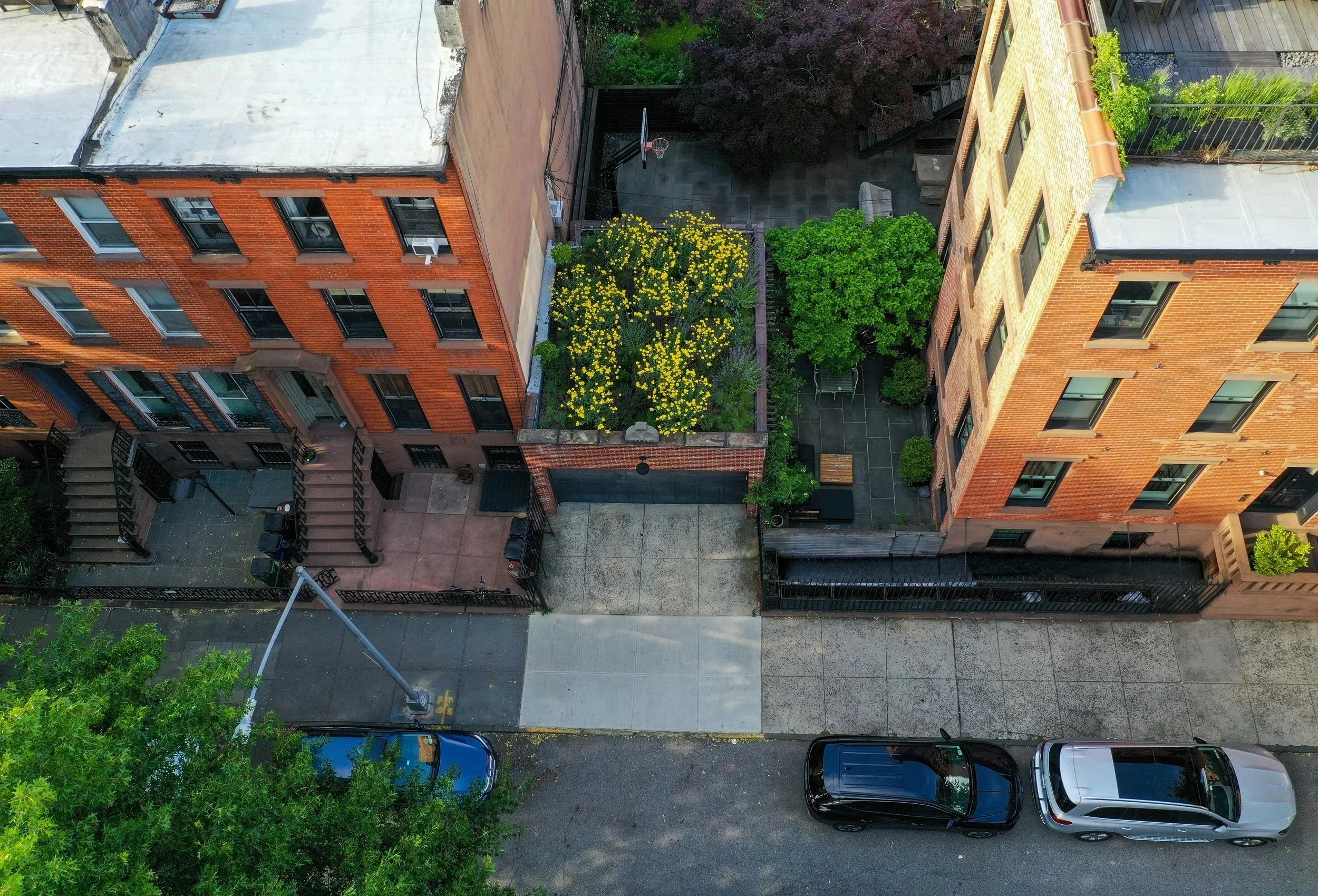 A meadow-like greenroof landscape that sits atop a freestanding garage in Brooklyn, New York