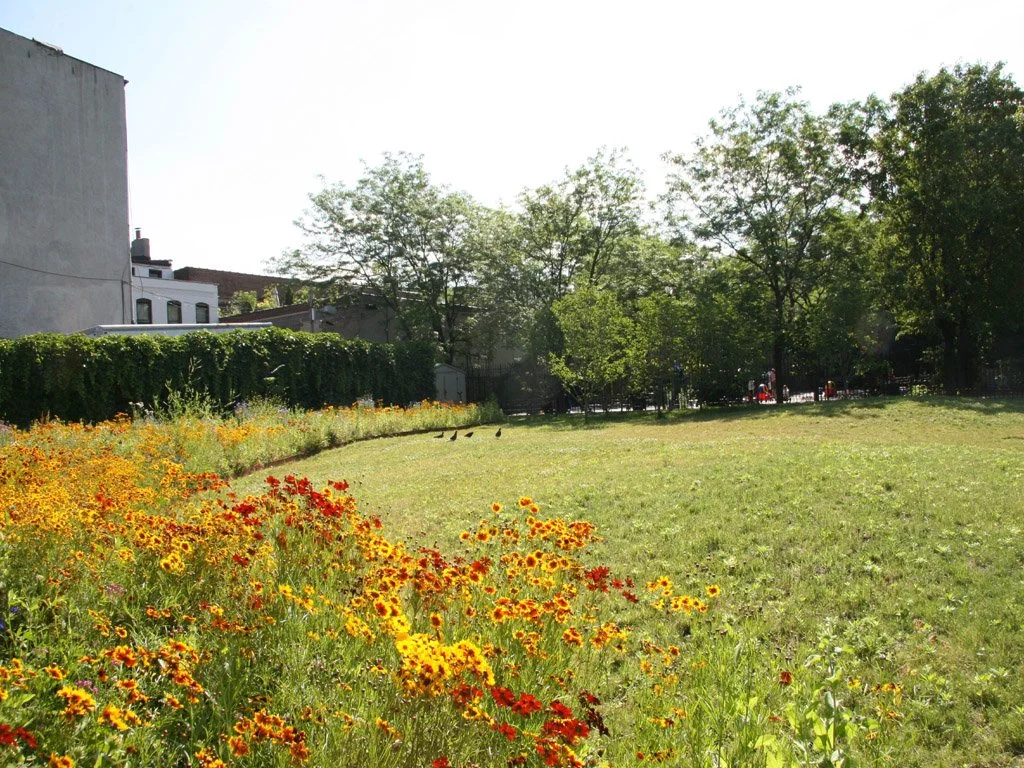 Meadow Gardens Julie Farris.JPG