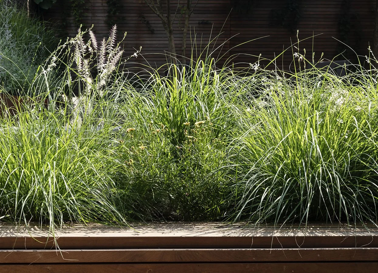 Modern Brooklyn Garden.jpg